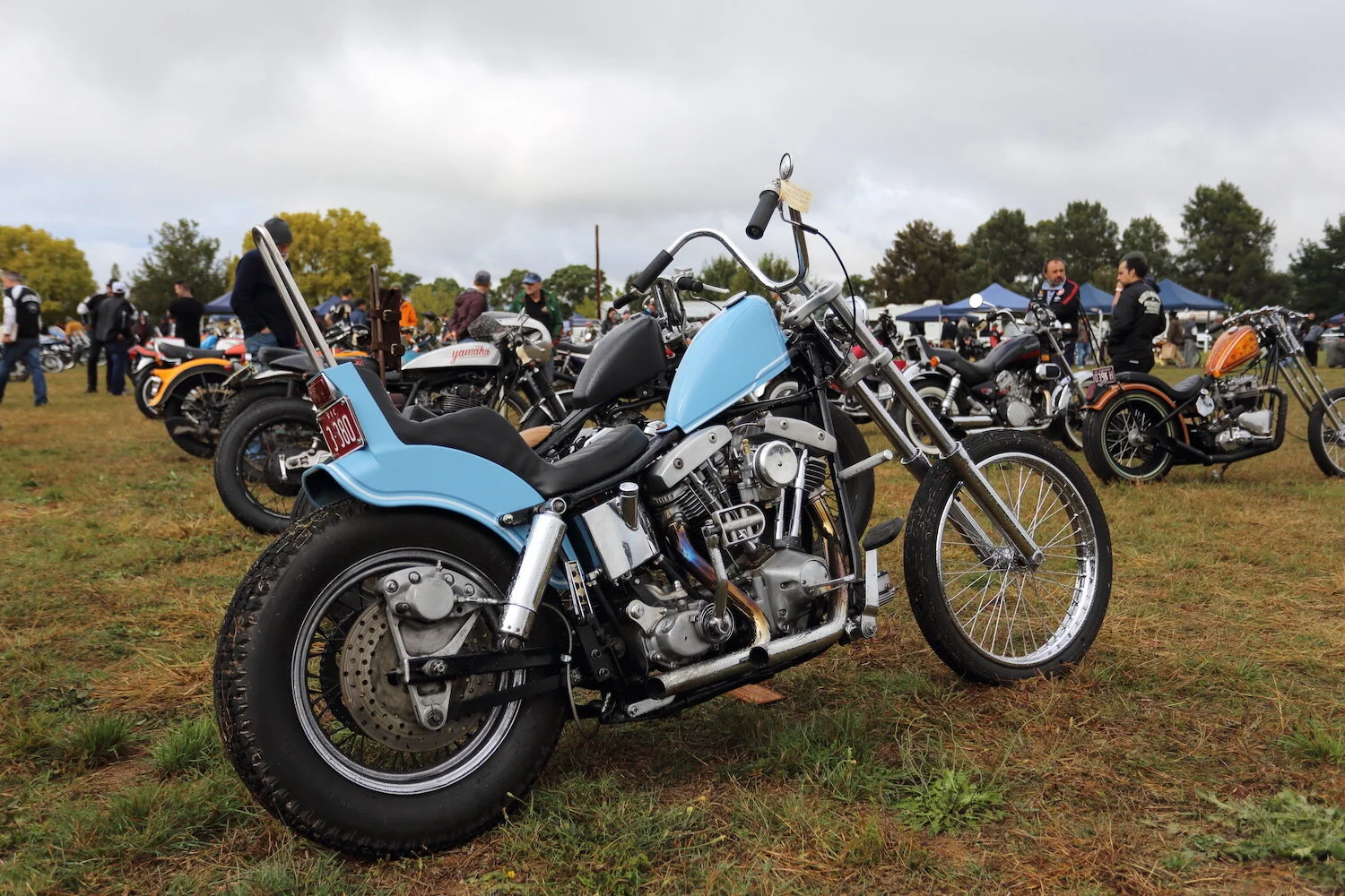 MS26 - roger chambers - the machine show.JPG