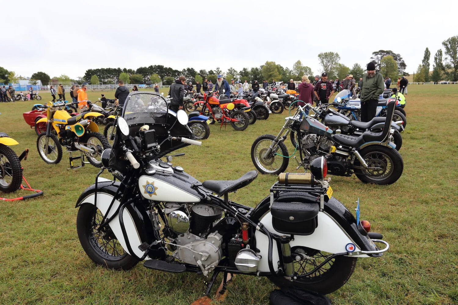 MS14 - roger chambers - the machine show.JPG