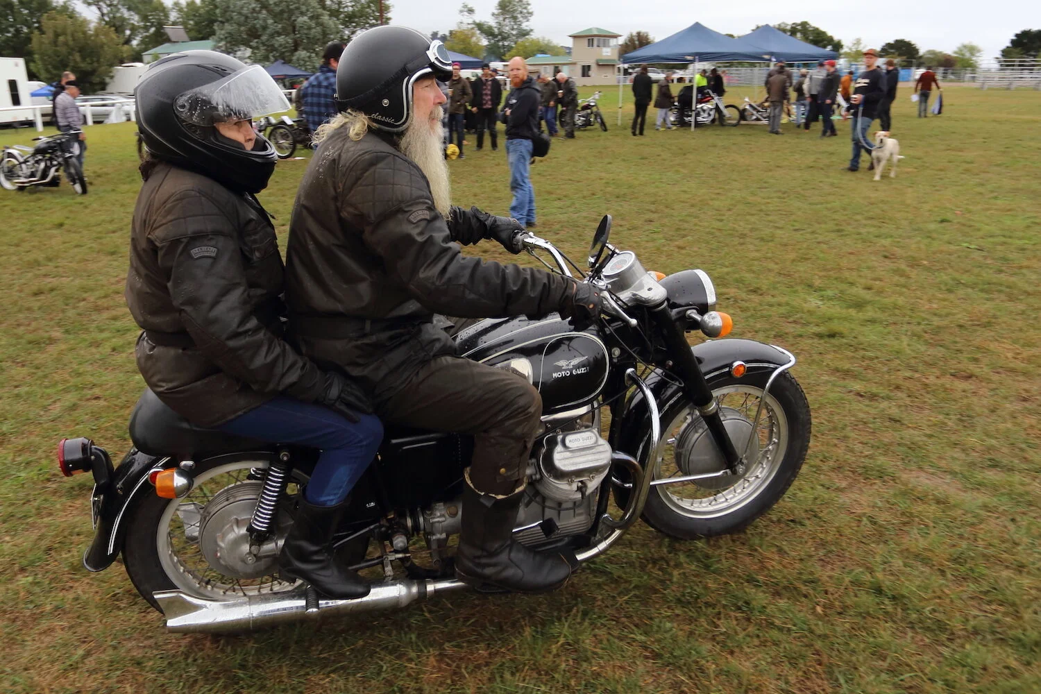 MS7 - roger chambers - the machine show.JPG