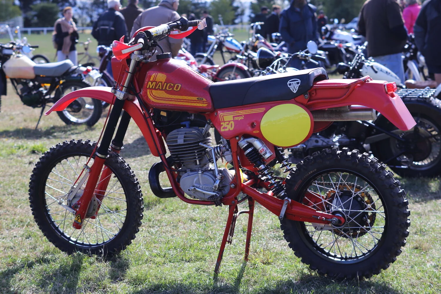 MS66 - roger chambers - the machine show.JPG