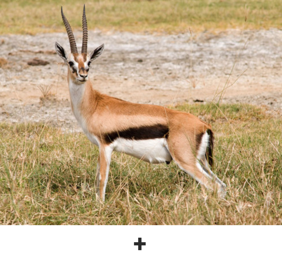 Screen Shot 2019-08-27 at 2.57.54 PM.png