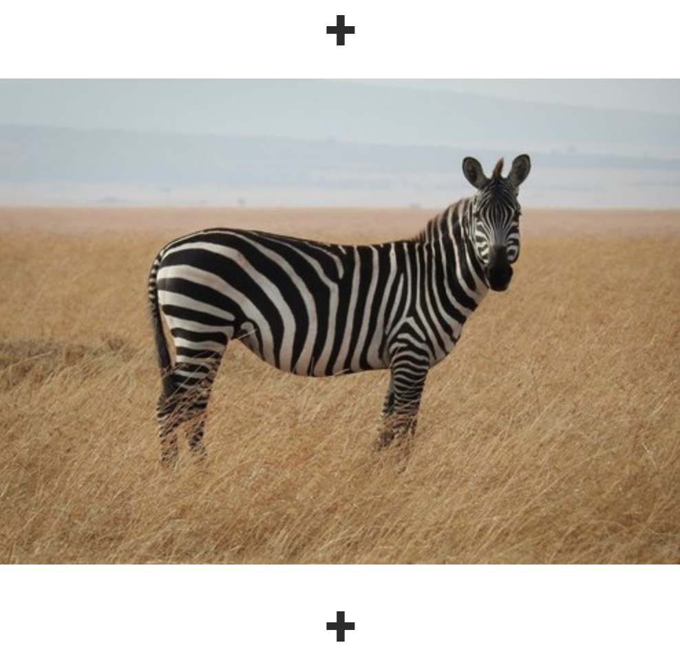 Screen Shot 2019-08-27 at 3.00.22 PM.png