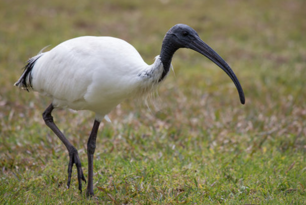 Screen Shot 2019-08-27 at 3.01.15 PM.png