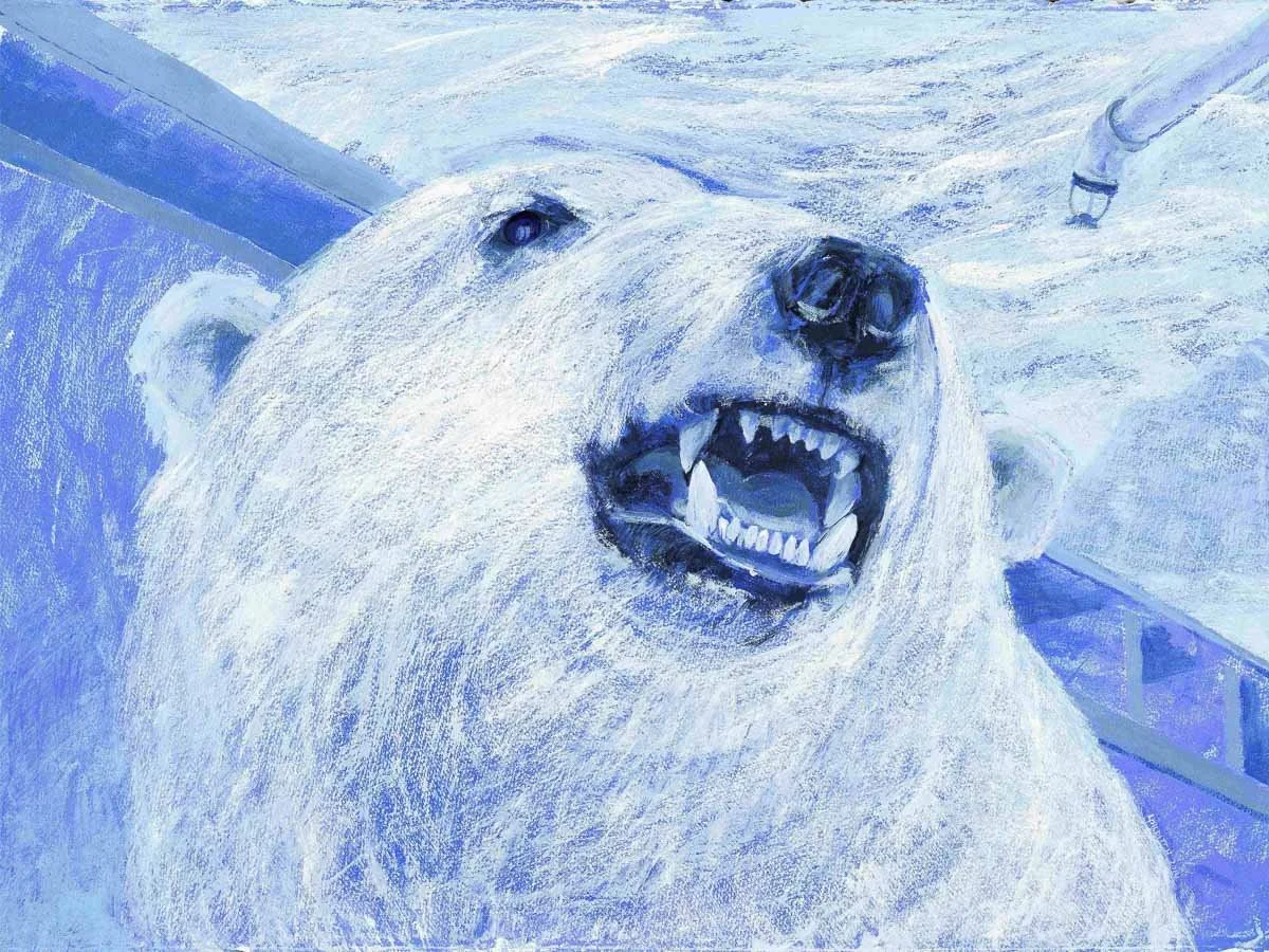 The Co-op Bear, It’s Complicated