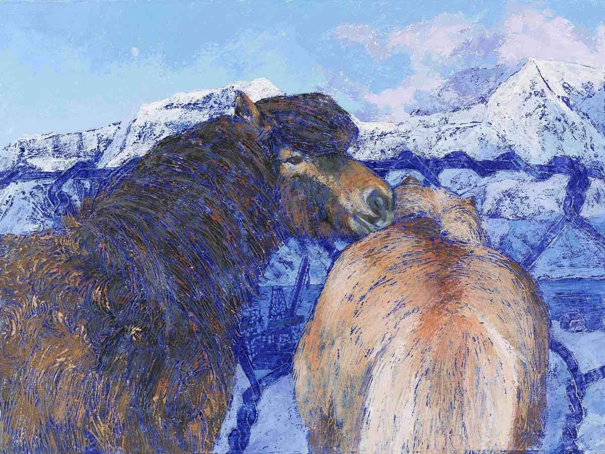 Icelandic Ponies, Longyearbyen, Svalbard