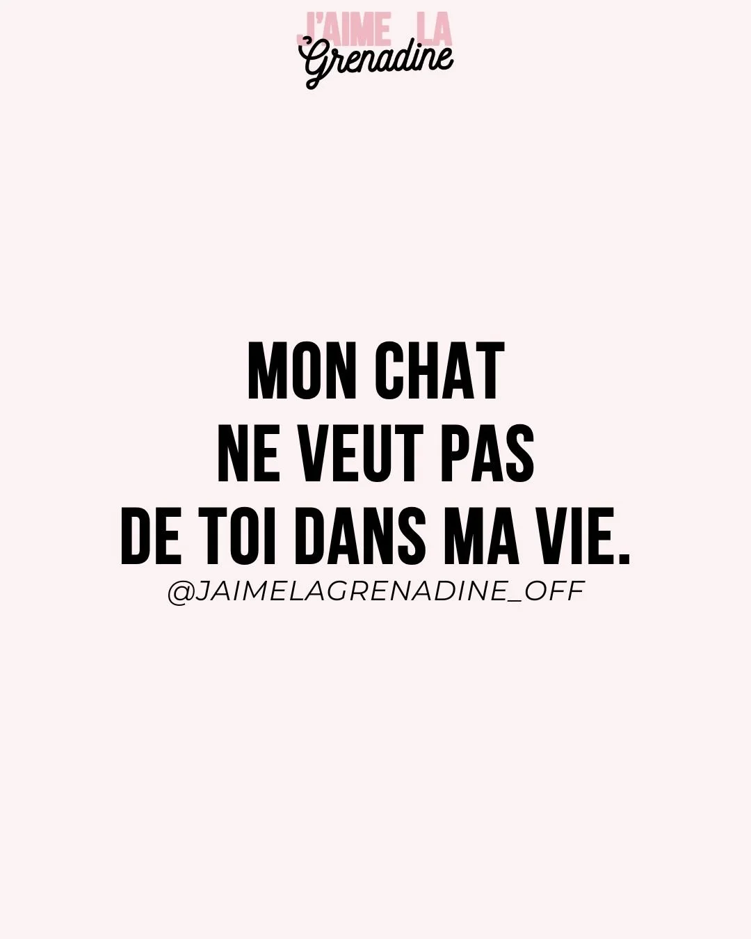 Mon chat ne veut pas de toi dans ma vie &copy;
.
#citation #phrasedujour #exrelou