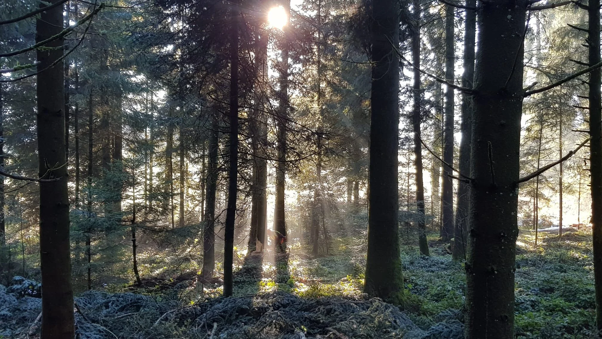 WhatsApp Image 2021-03-02 at 11.19.57 (5).jpeg