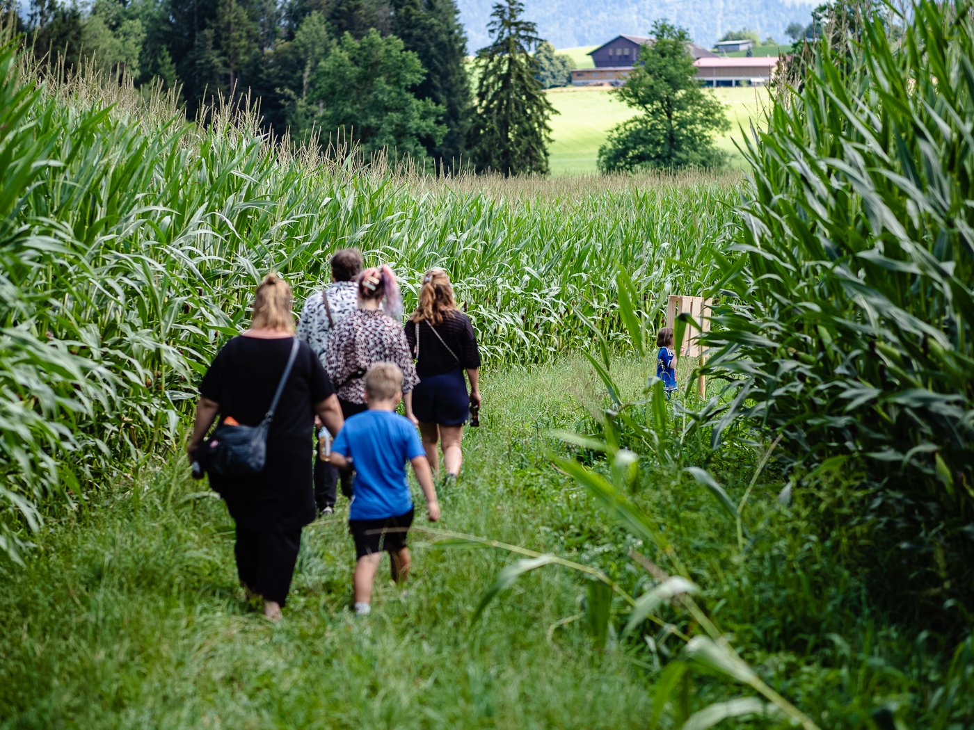 tannhuesern-sommerfest-2022-web-18.jpg