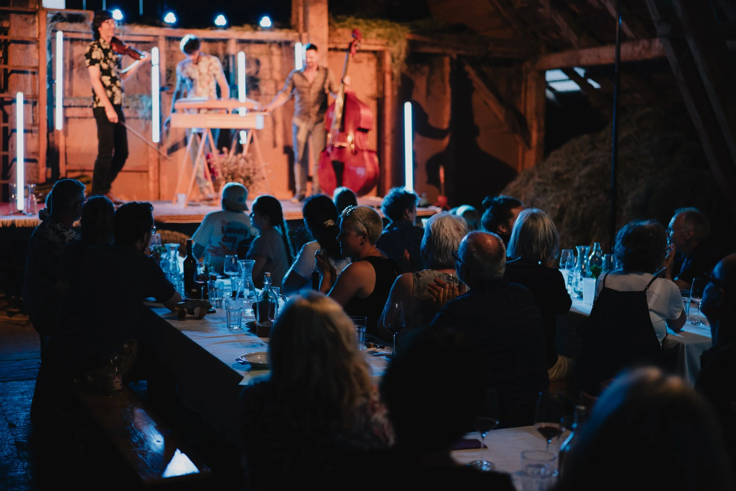 260717-festsommer-eins-full-res-123 © Mirko Kienle.jpg