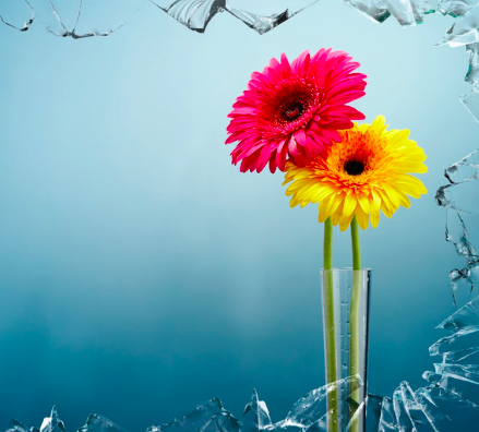 Sounding disruptive – sh*t you need to know