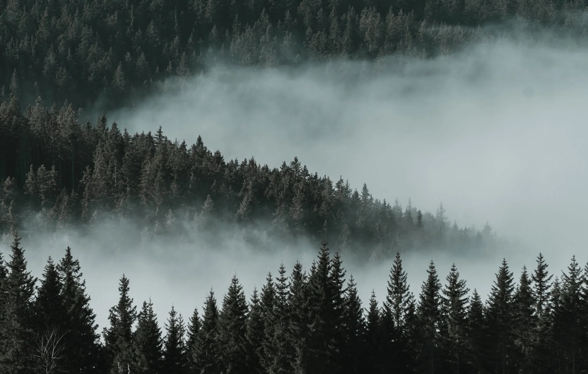 Freelancing and mental health: tips for survival