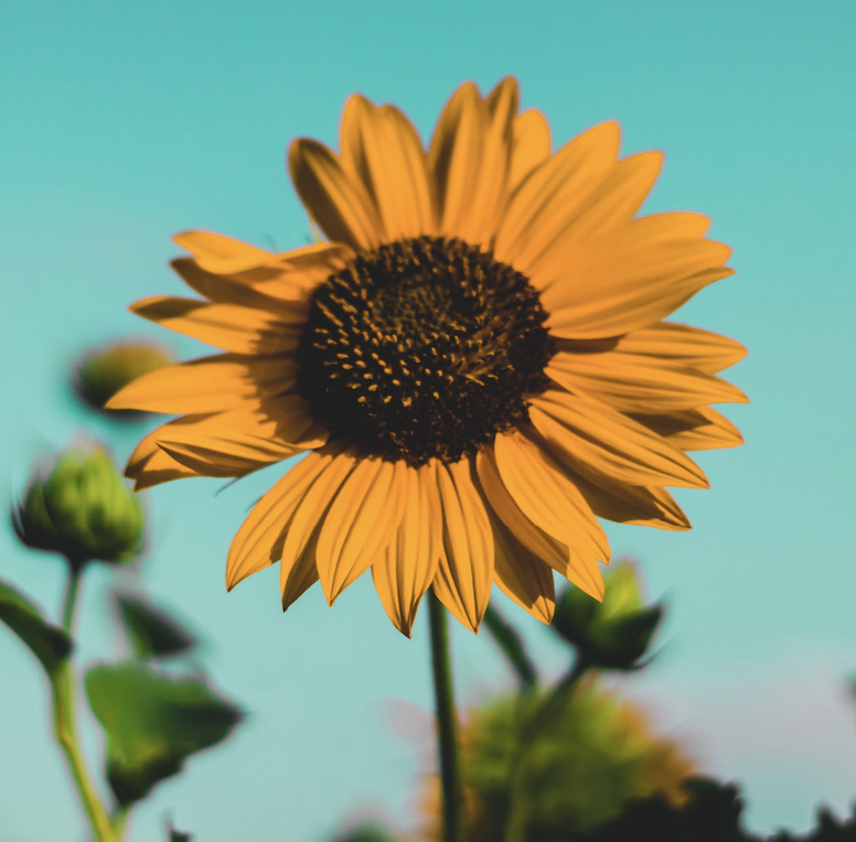 How to not take negative feedback personally