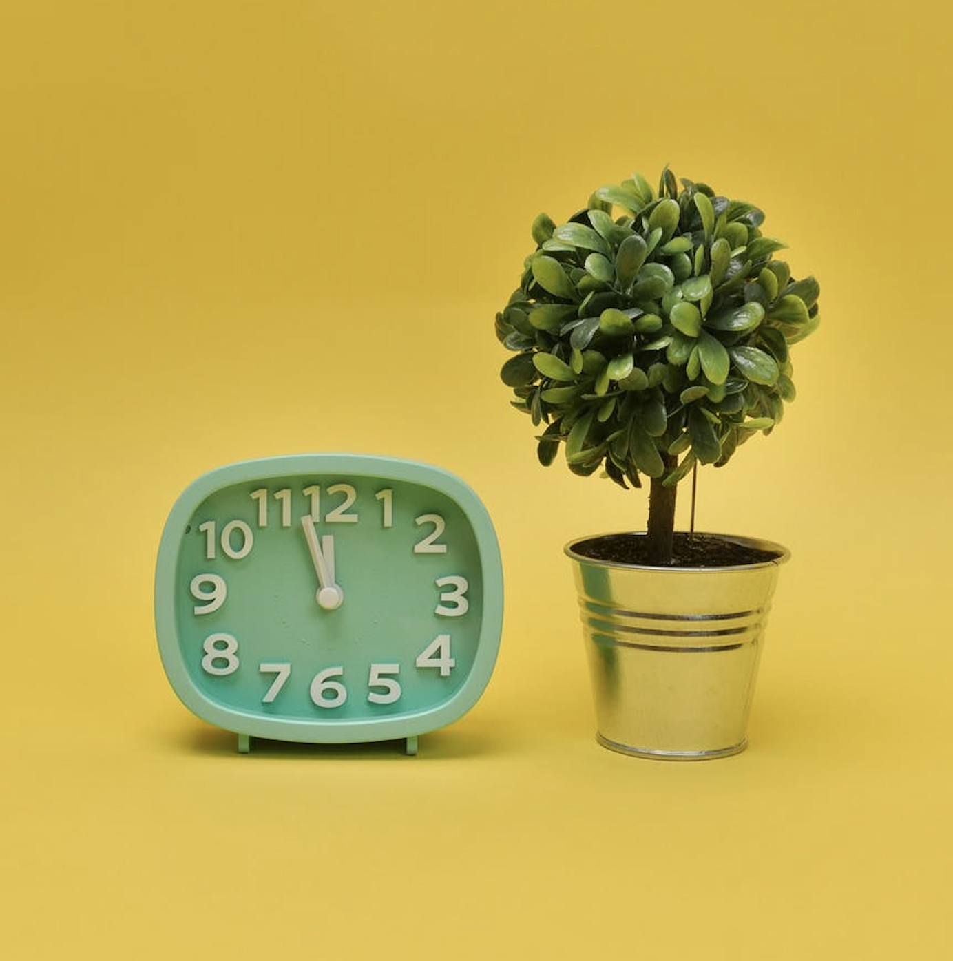It's time to swap the 9 to 5 workday for your own circadian rhythm