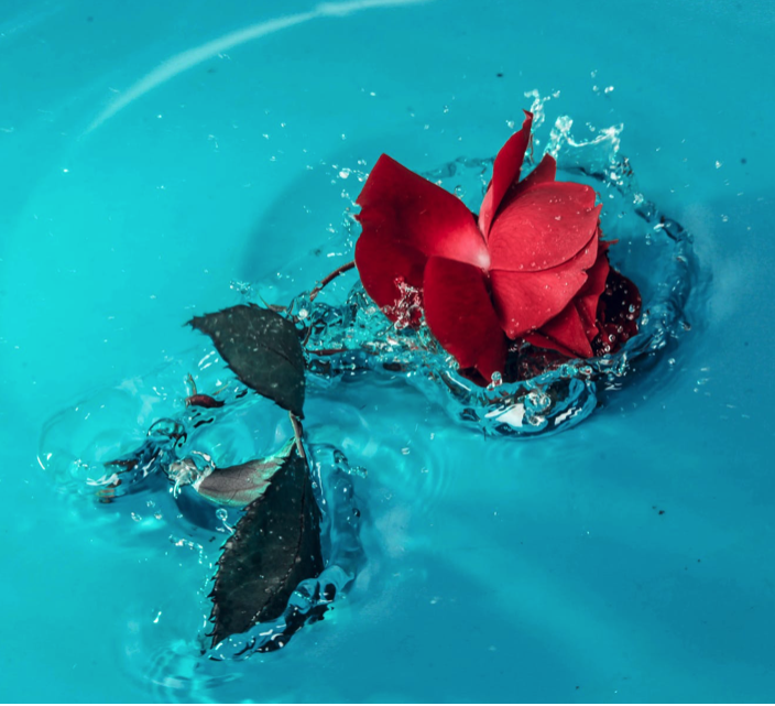 Empath's guide to freelancing: how to crack on without cracking up
