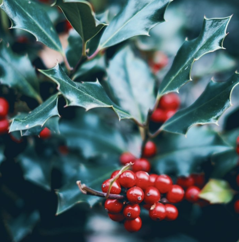 Old timey Christmas words you can use in your festive marketing