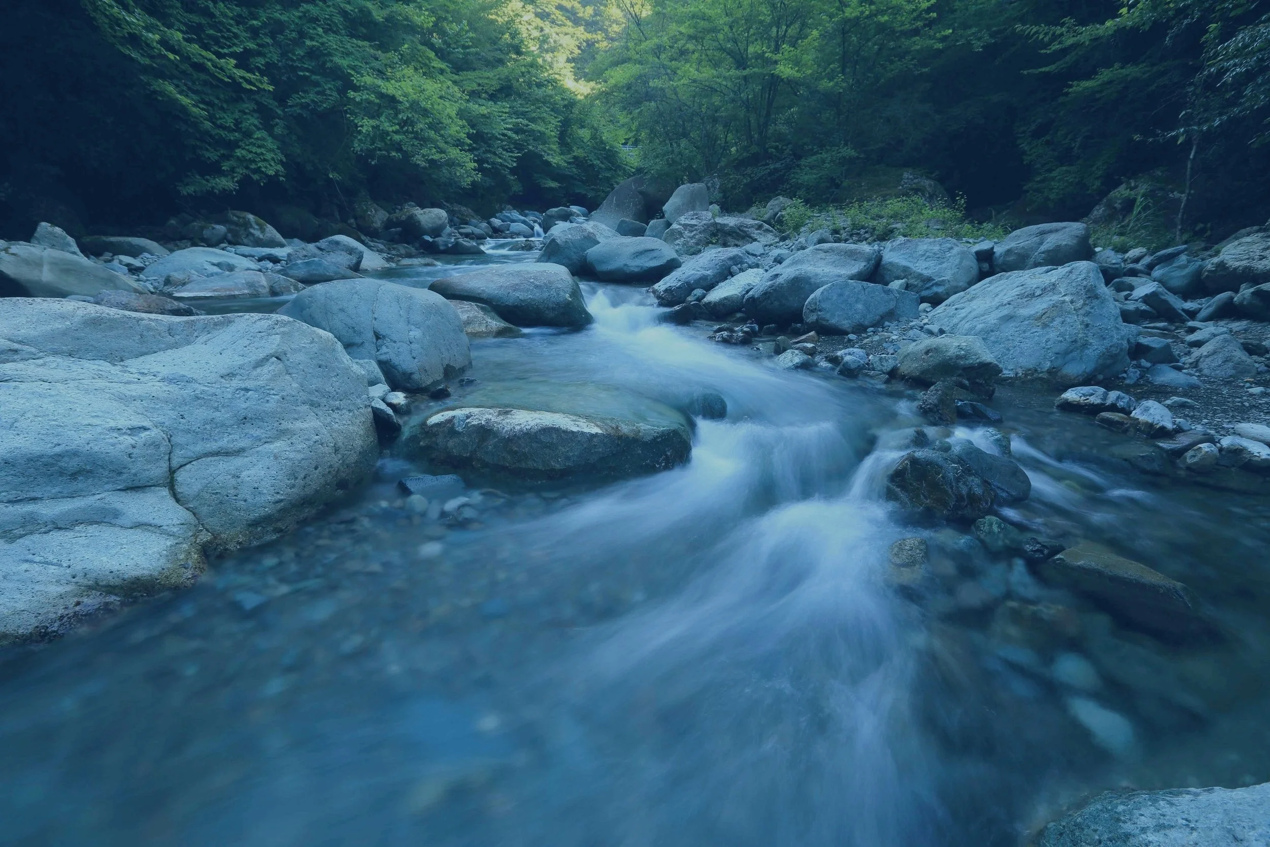 river_sharedservices_overlay.jpg