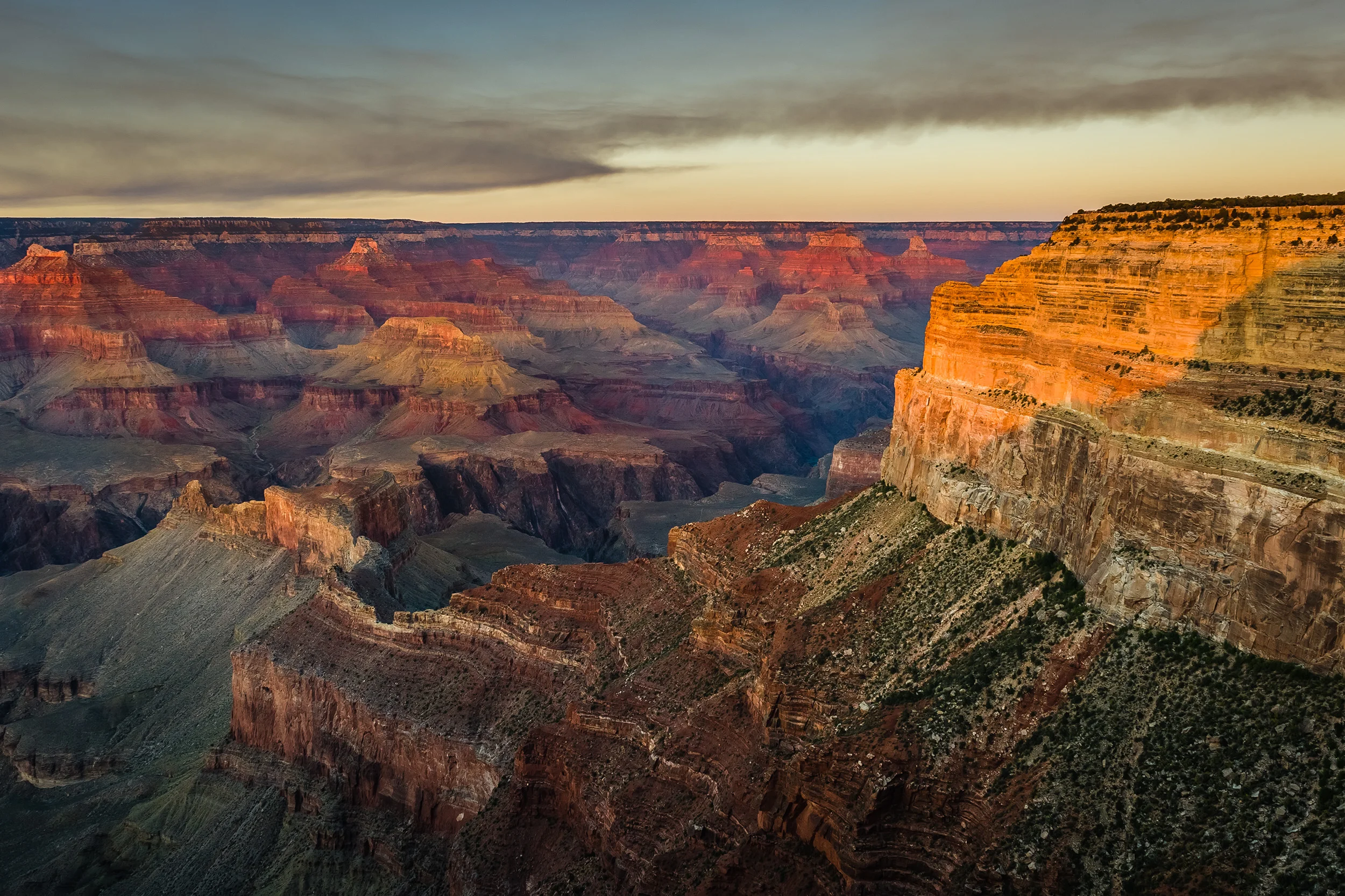 _DSC2520.jpg