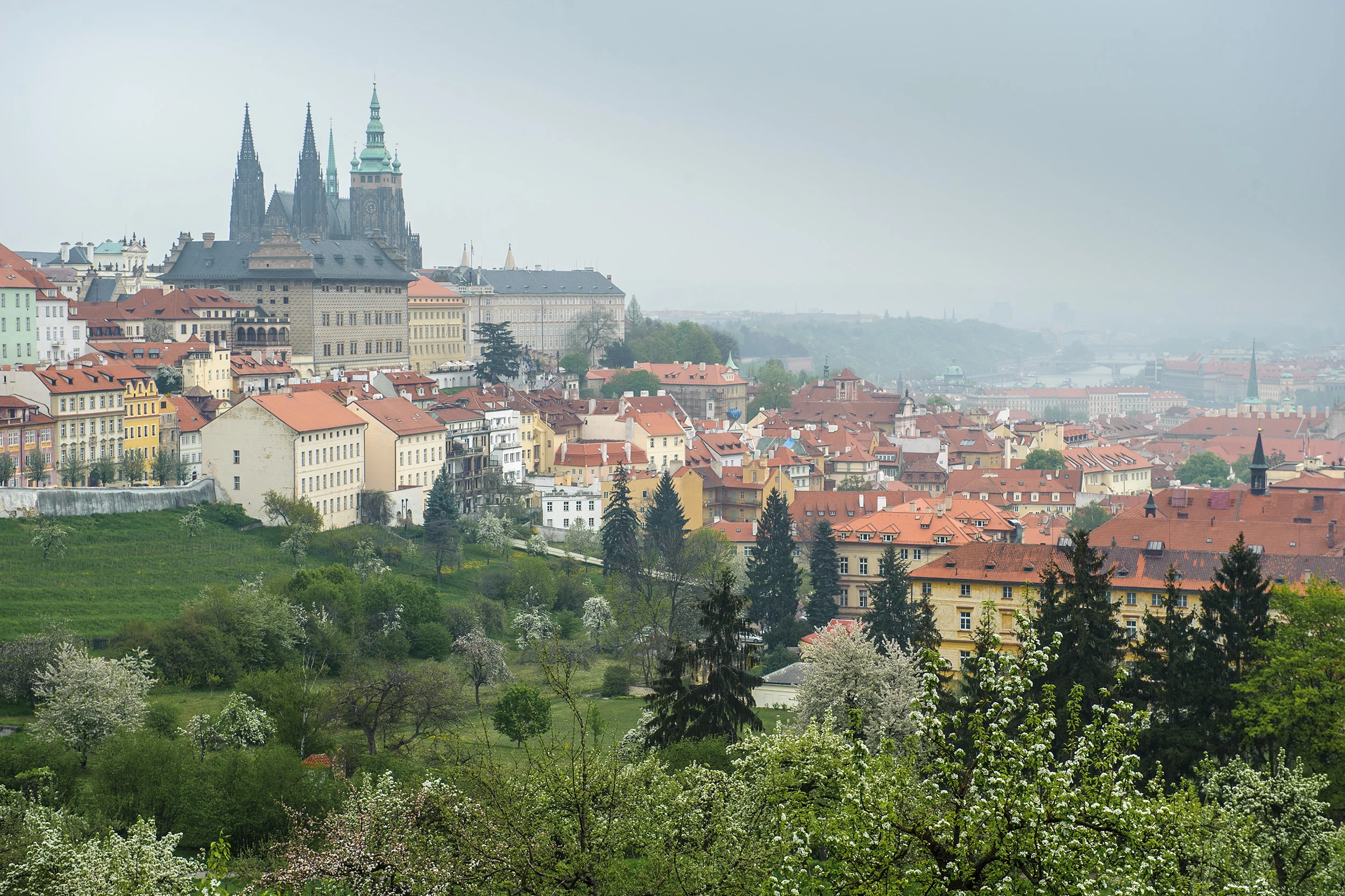 _DSC3504.jpg