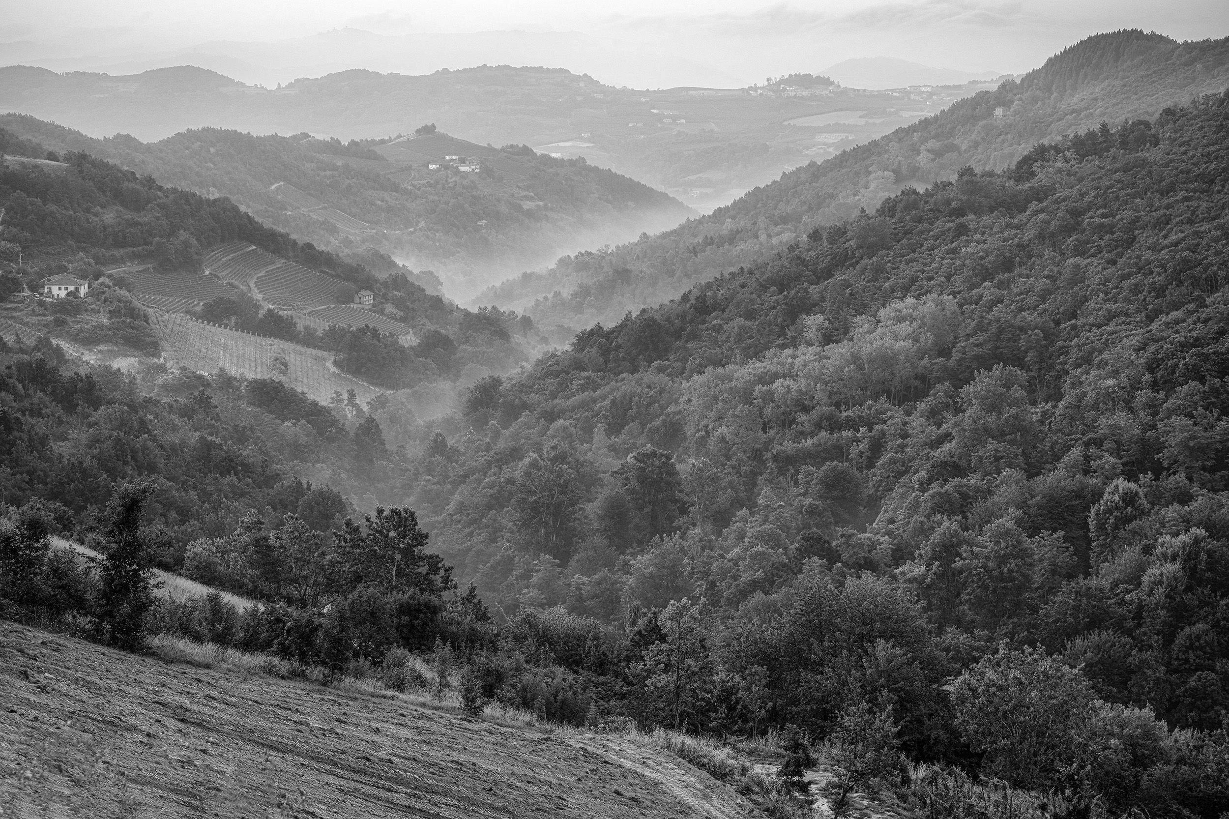 _DSC0287.jpg