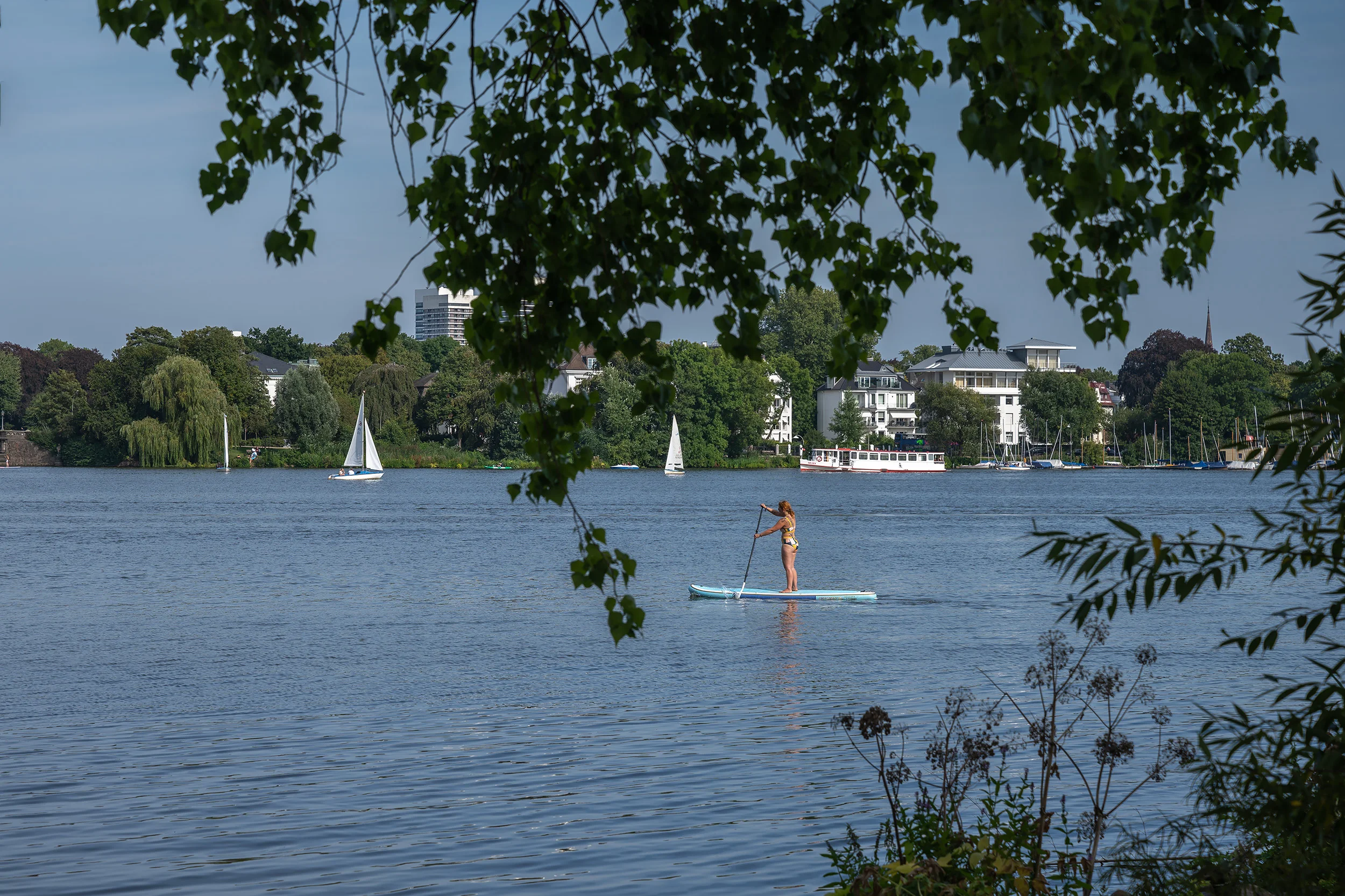 _DSC2175-Edit.jpg