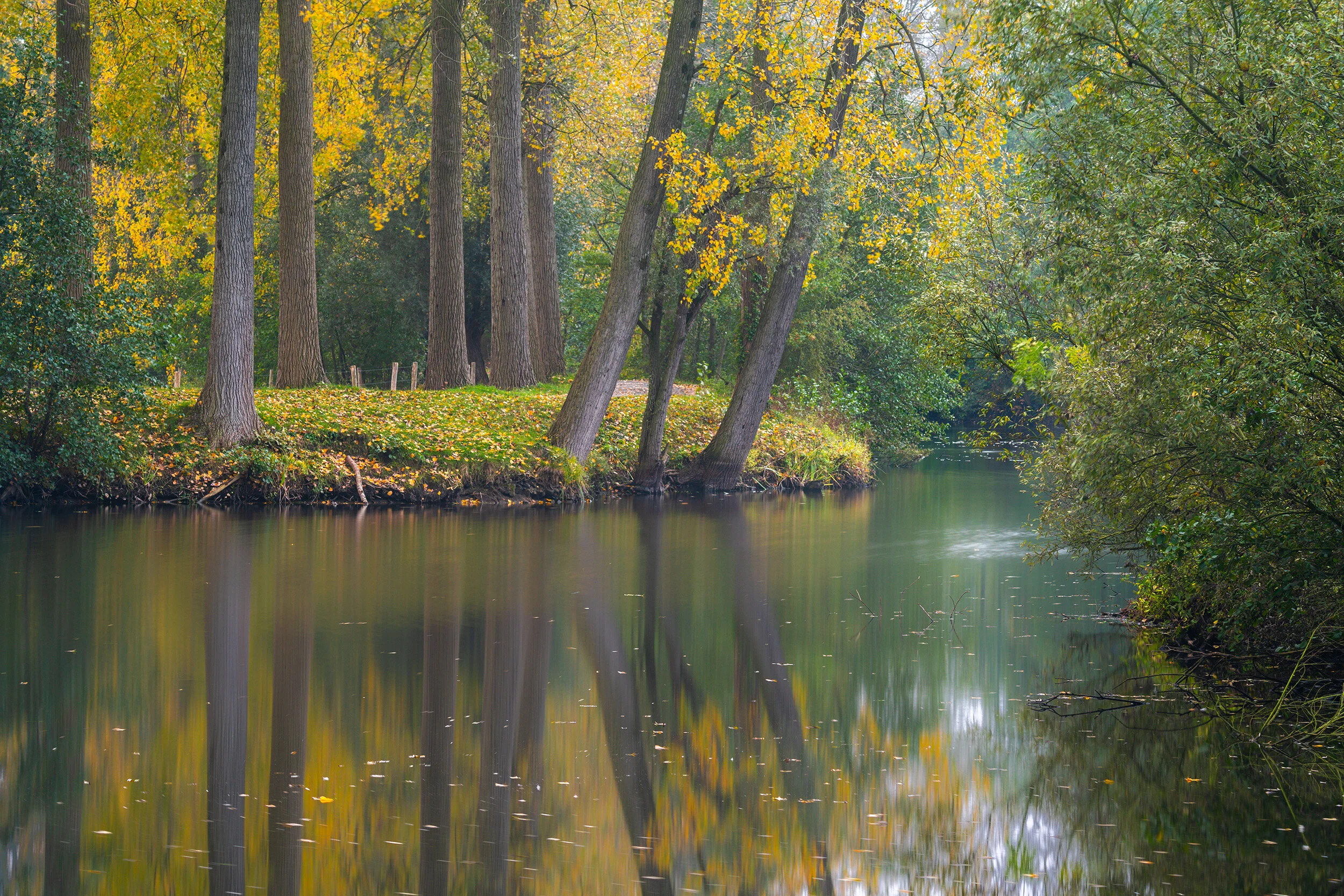 _DSC2592-Edit.jpg
