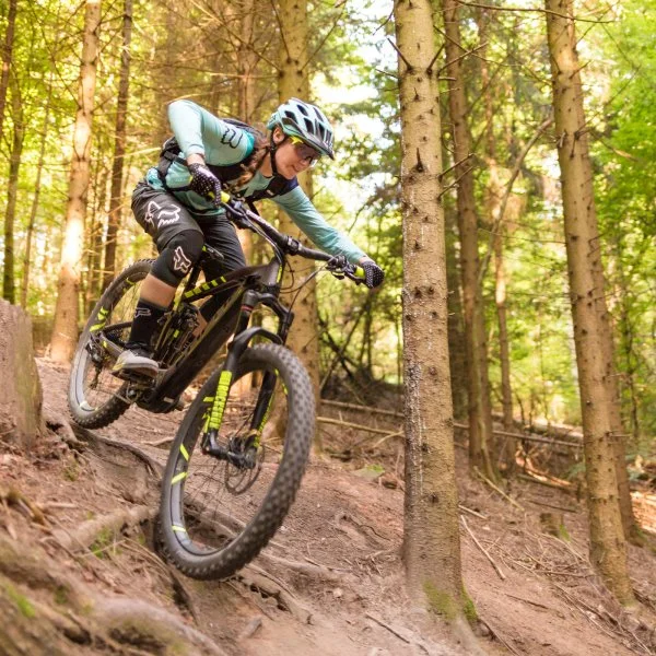 To e bike or not to e bike?