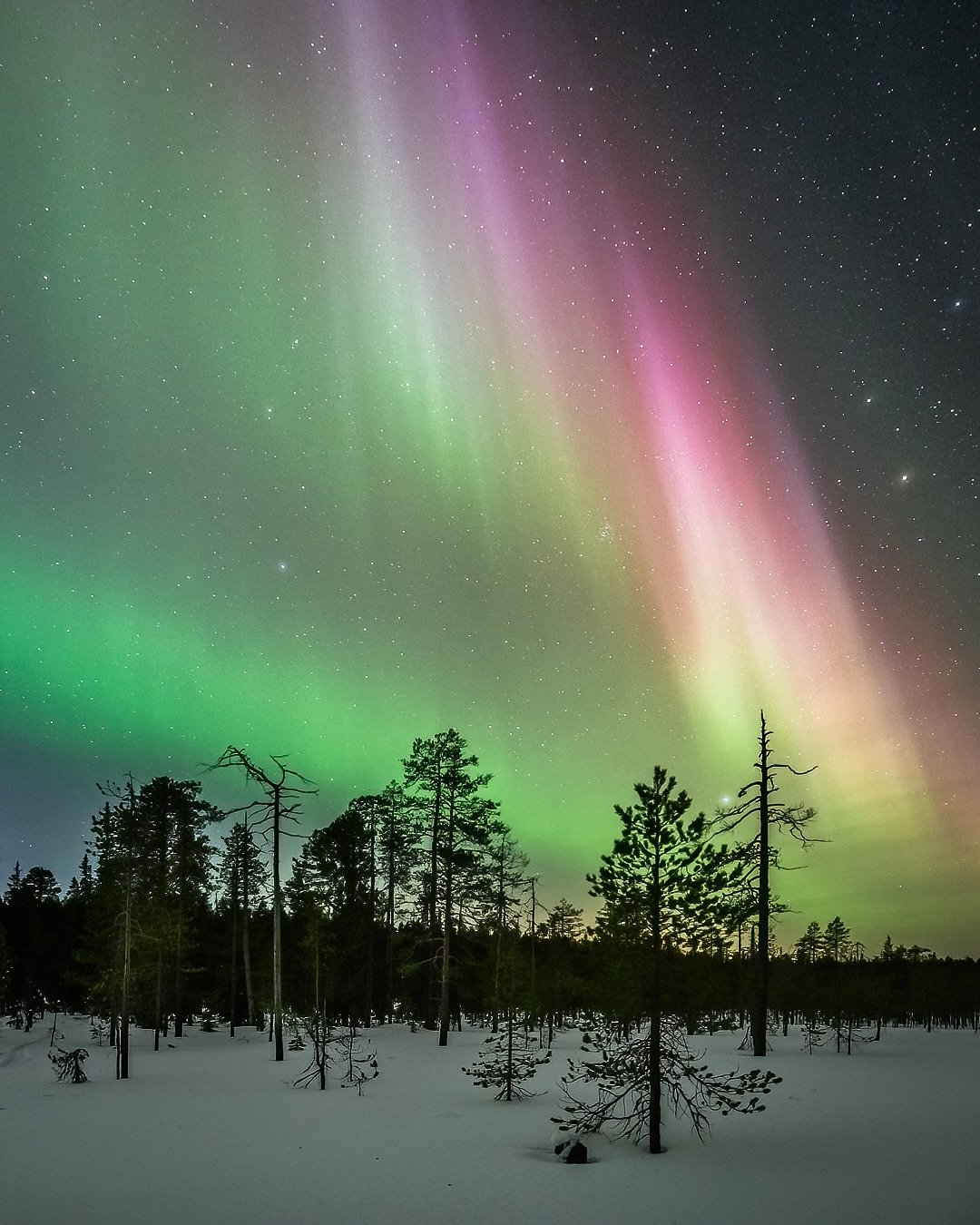 Nice lights last night.
.
.
#night #northernlights #finland #allbeauty_addiction #visitfinland #igworld_global #earth_shotz #thebestoffinland #visitingfinland  #nature_brilliance #discoverfinland #landscapephotography #nightphotography #finland4seaso