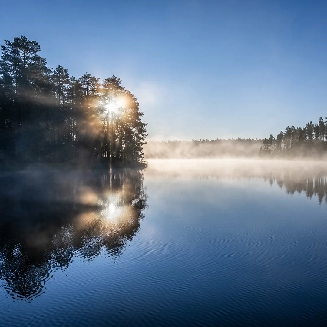 Misty morning light.
.
#sunrise #summertime #summervibes #finland #naturelovers