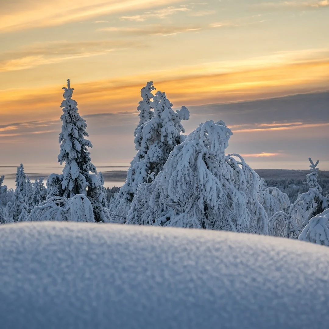 Winter mood at the top of Iso-Sy&ouml;te hill ❄️💙

#winterlandscape #landscepephotograpyhy  #wintermood #finland #visitfinland sy&ouml;te isosy&ouml;te