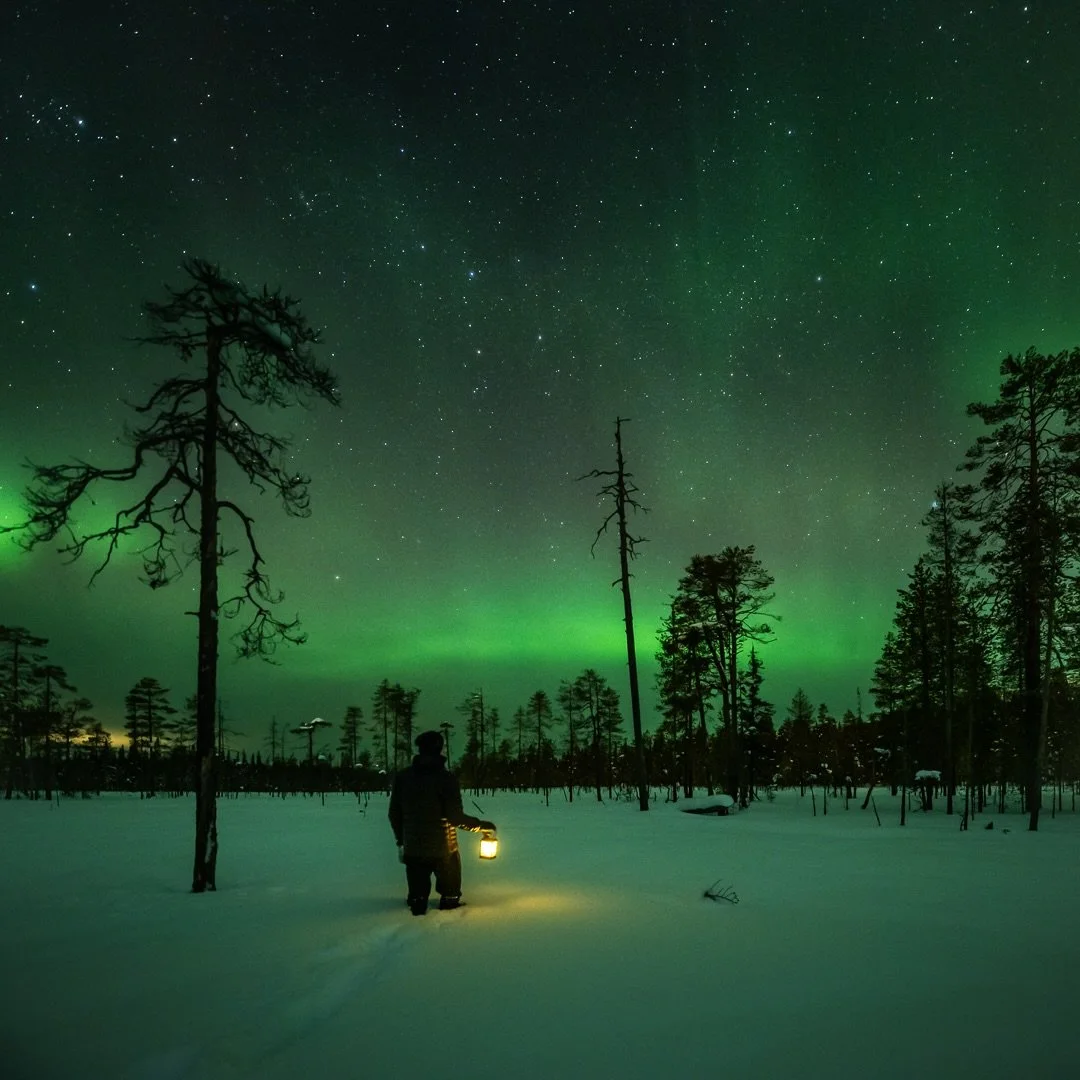 Lady Aurora&hellip; Night moment here in Sy&ouml;te 💚

#northernlights #auroraborealis #finland #winterlandscape