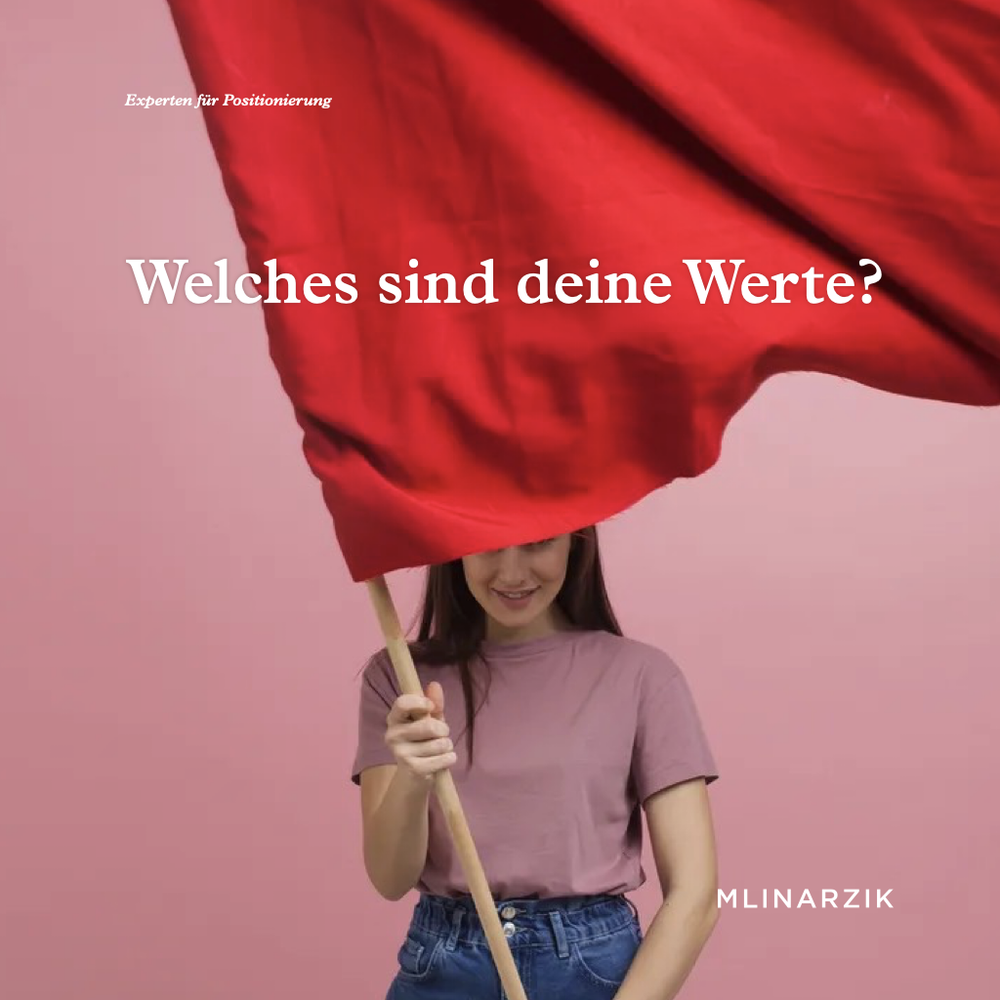 057_EXPERTEN FÜR POSITIONIERUNG_FLAGGE ZEIGEN.003.png