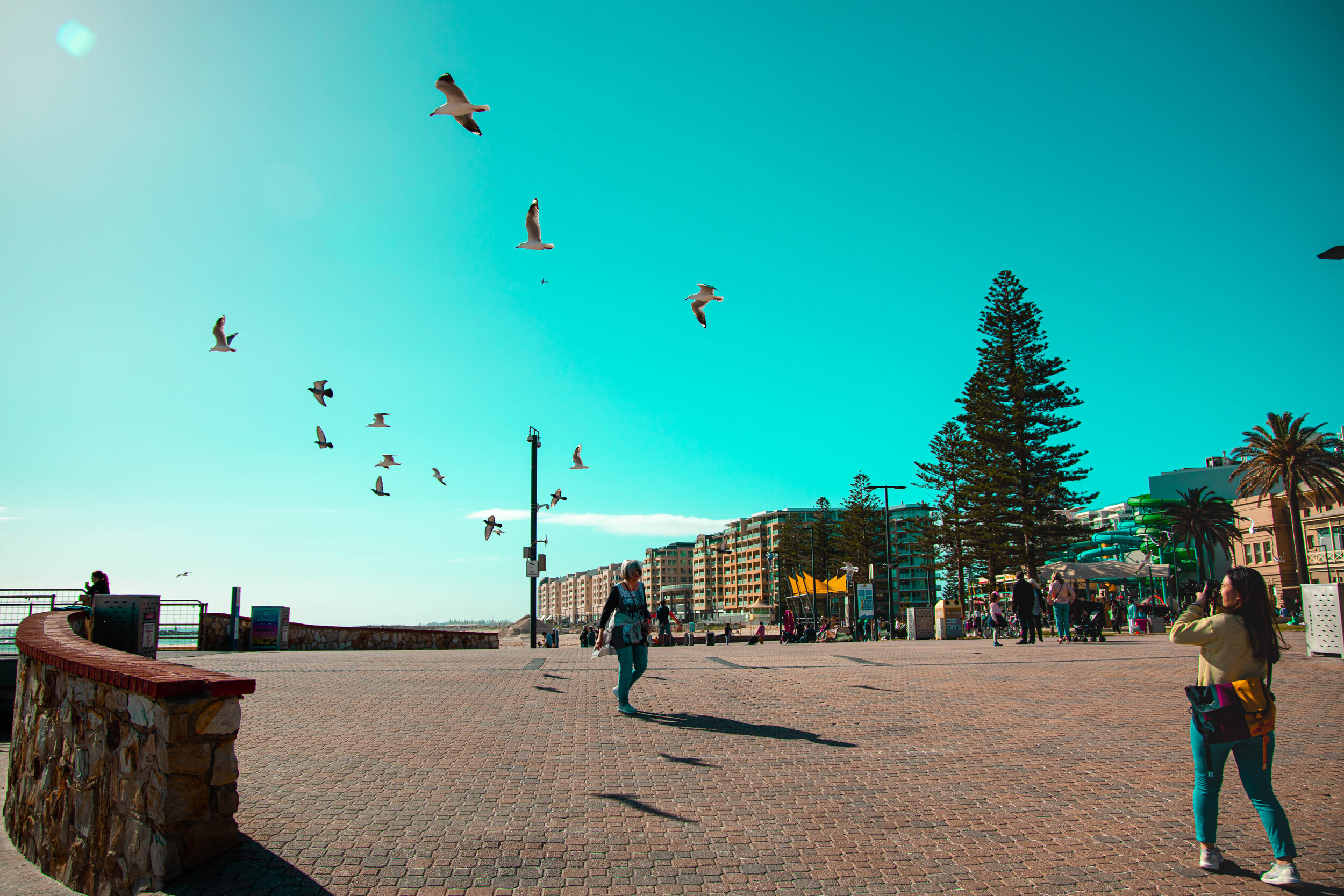 Scenes like this happen in a split second, so you really need to be ‘one’ with your camera to capture it at the right frame and exposure.