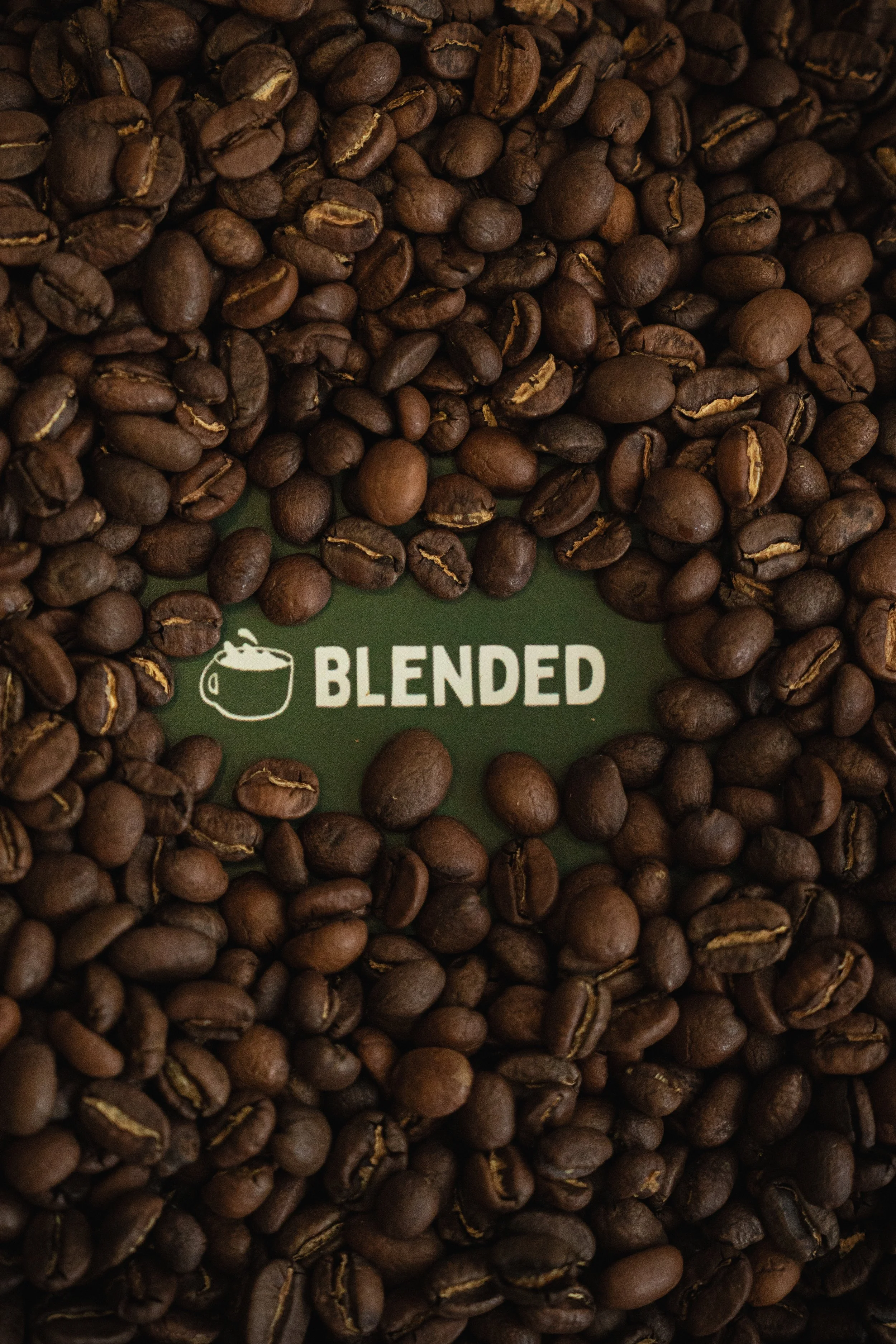 20250818 Blended x Altura-00639.jpg