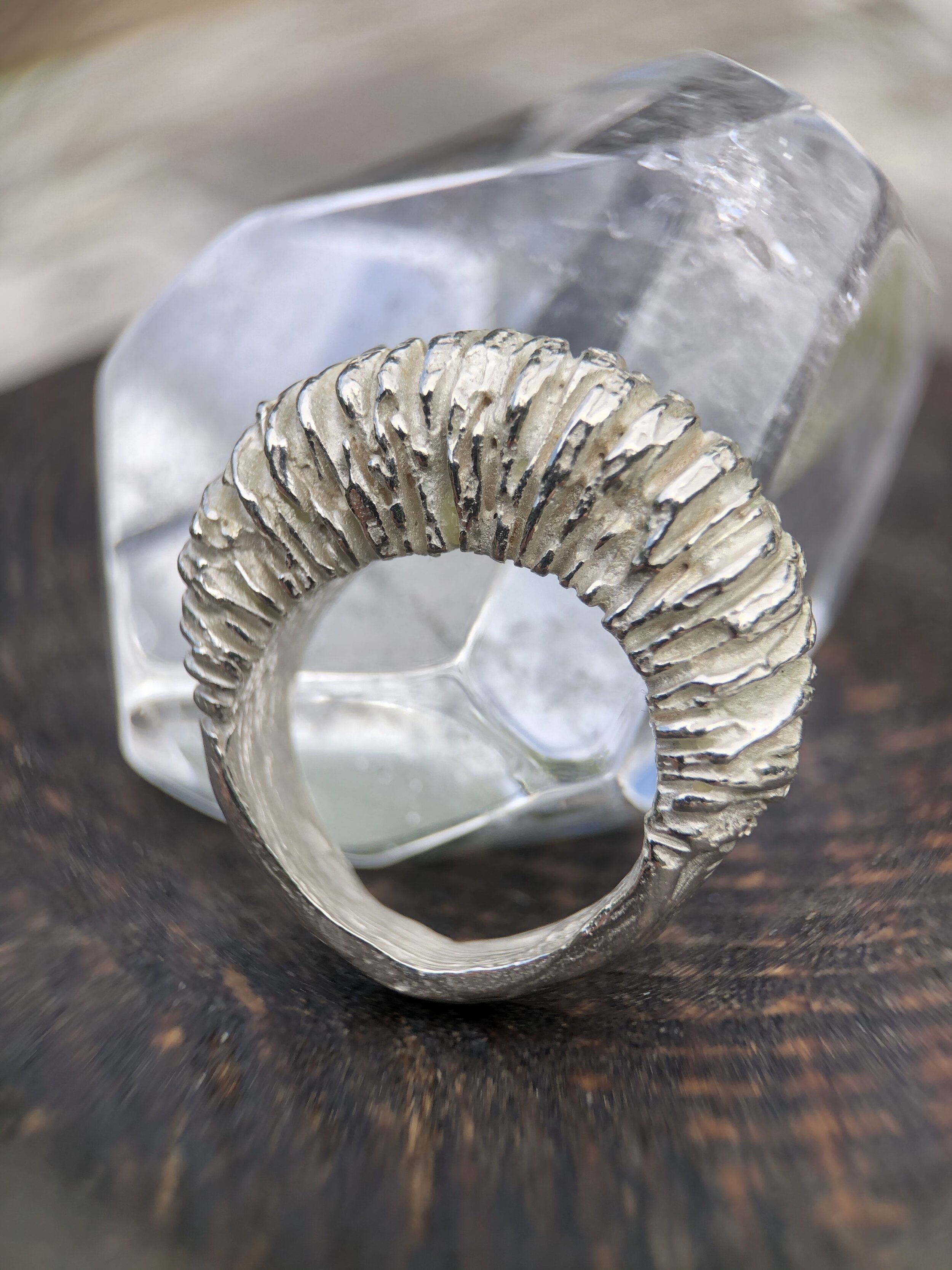 Large Hassleback Textured Silver Ring