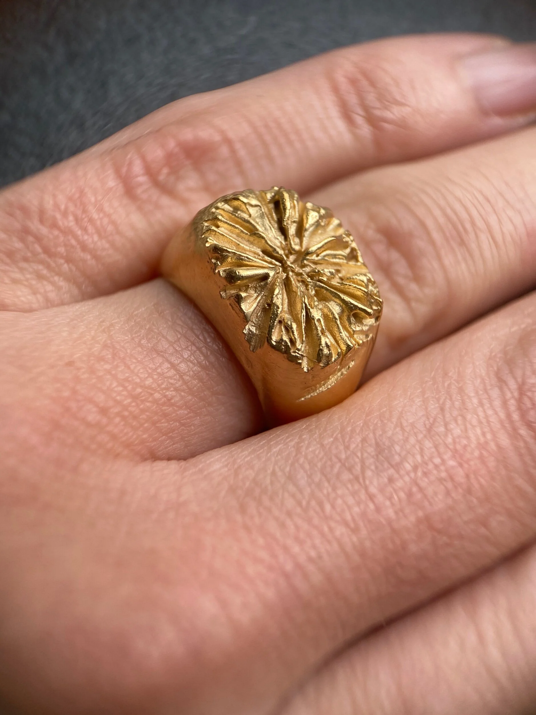 A48E848E-42C4-47E5-ACF6-747884CEEA6C