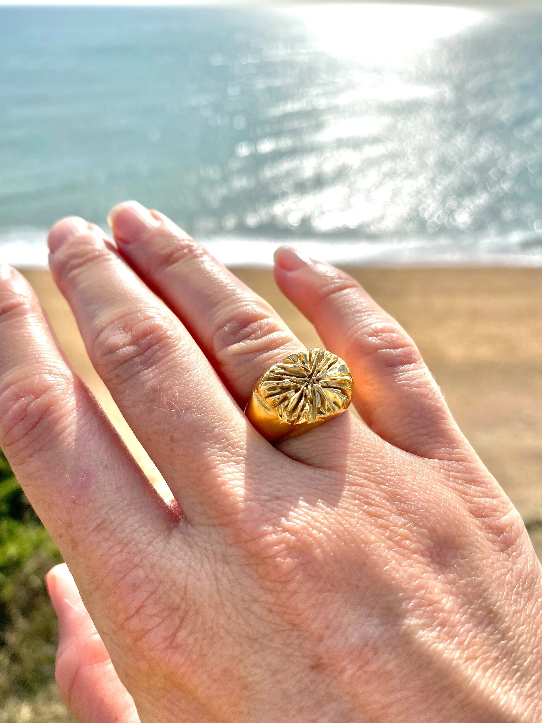 1D146A20-2FD1-4DE0-BCEF-72843C06E02E