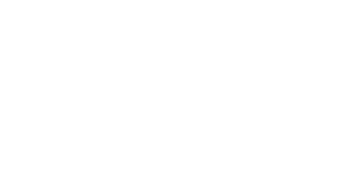 Strider Data