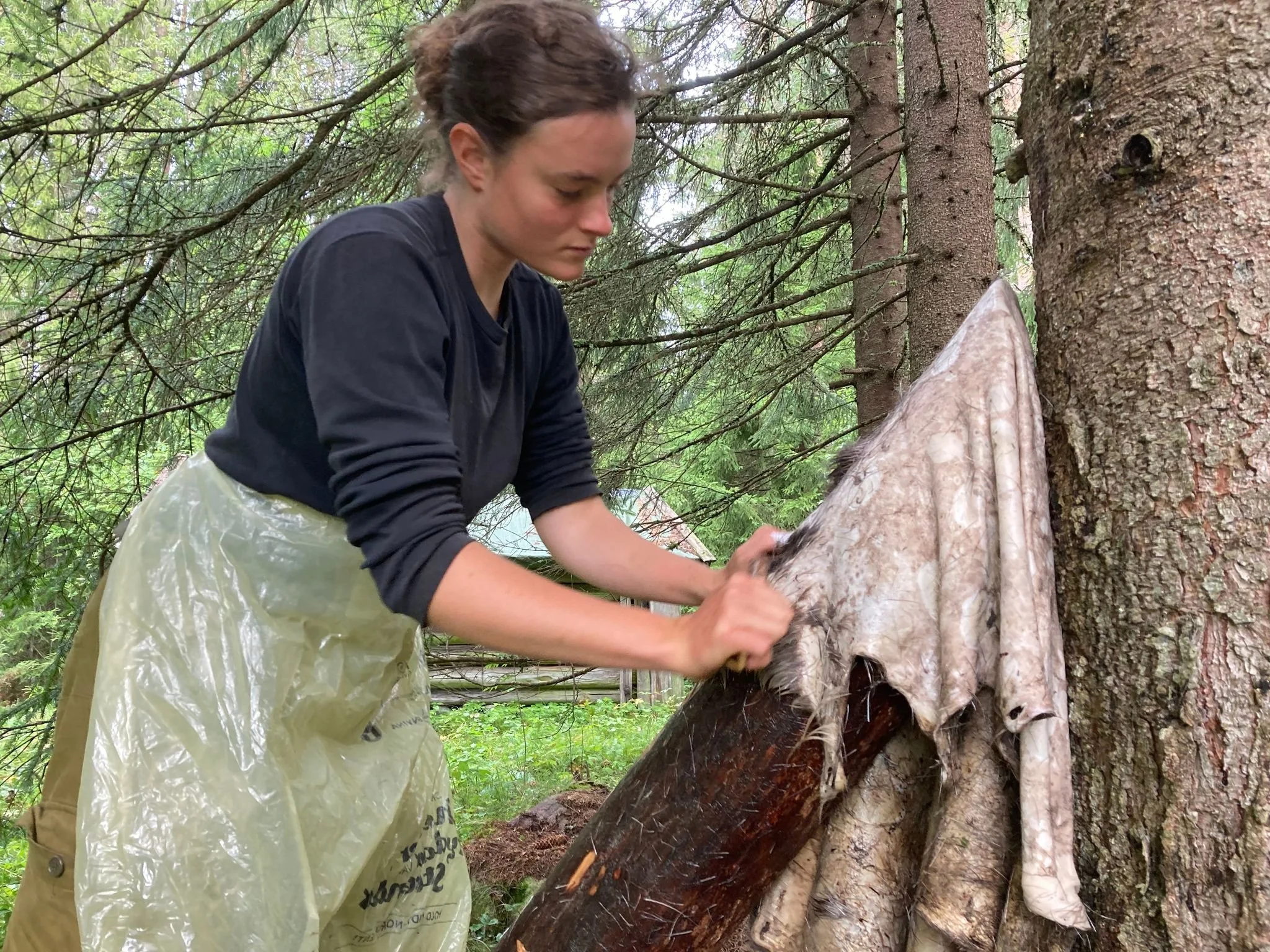 Hide Tanning 2 LWS.jpeg