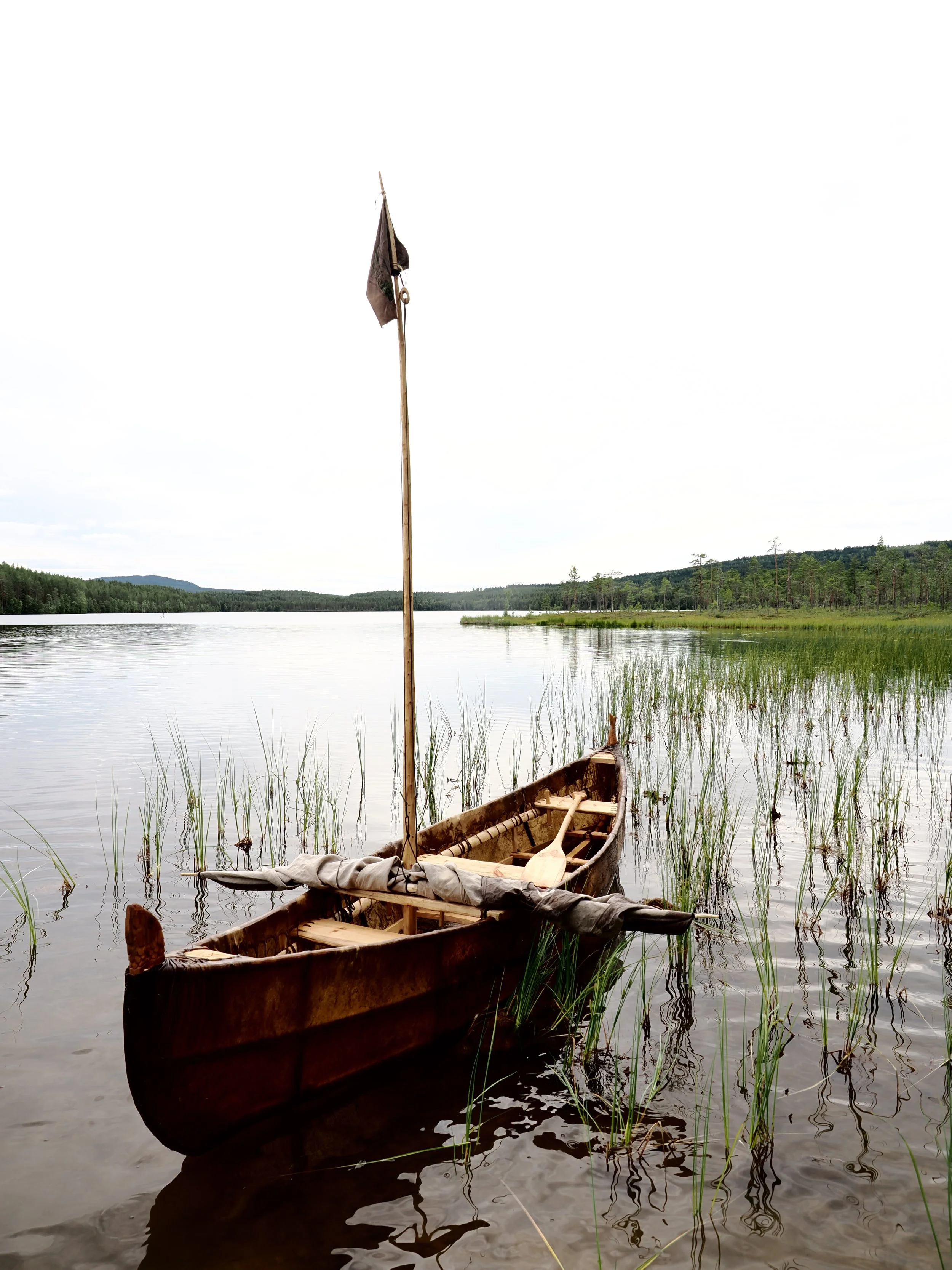 Summer Immersion-  The Fisher 