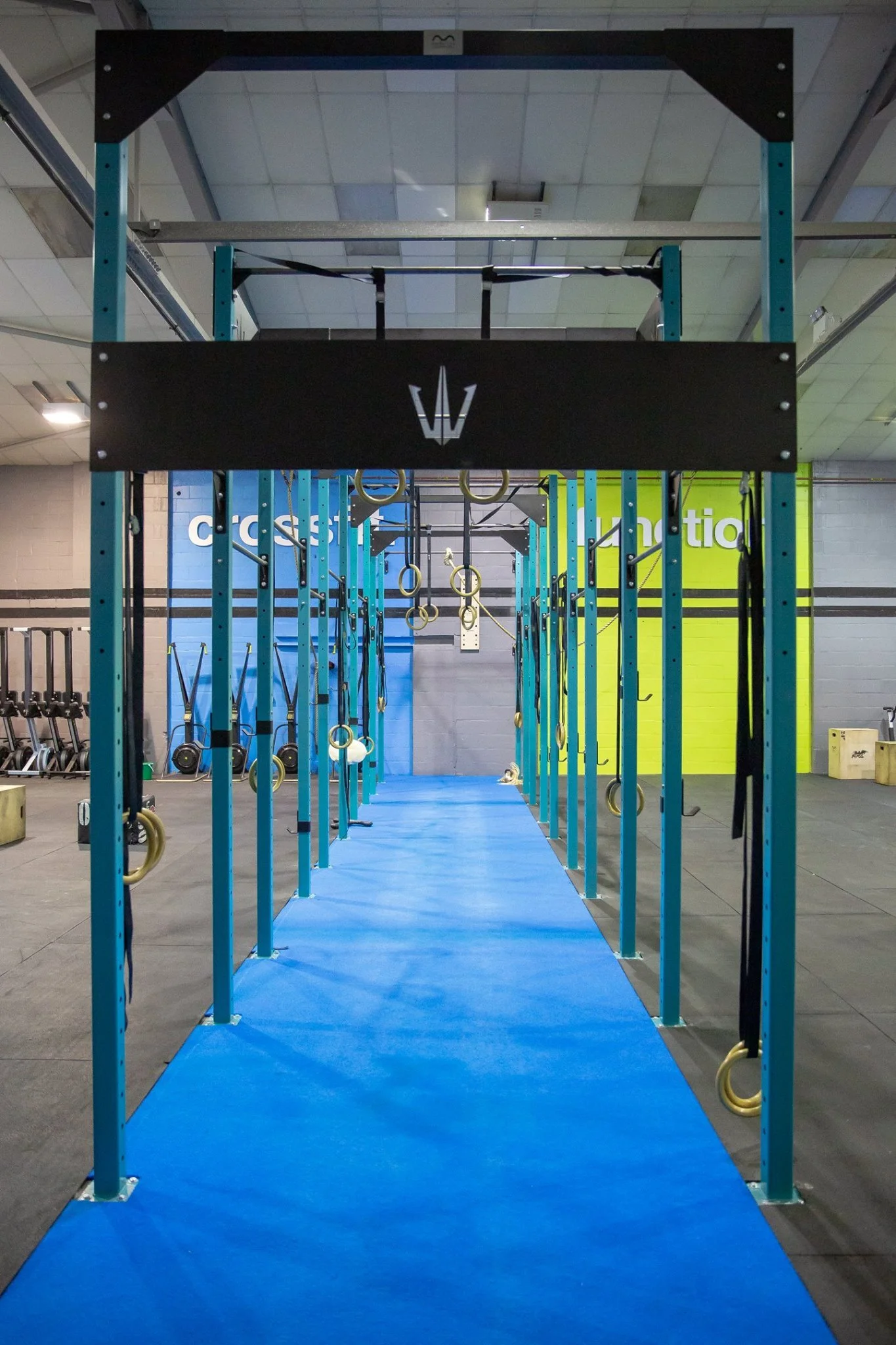 Fitness Rigs & Racks For Gyms — Moduflex Custom Rigs