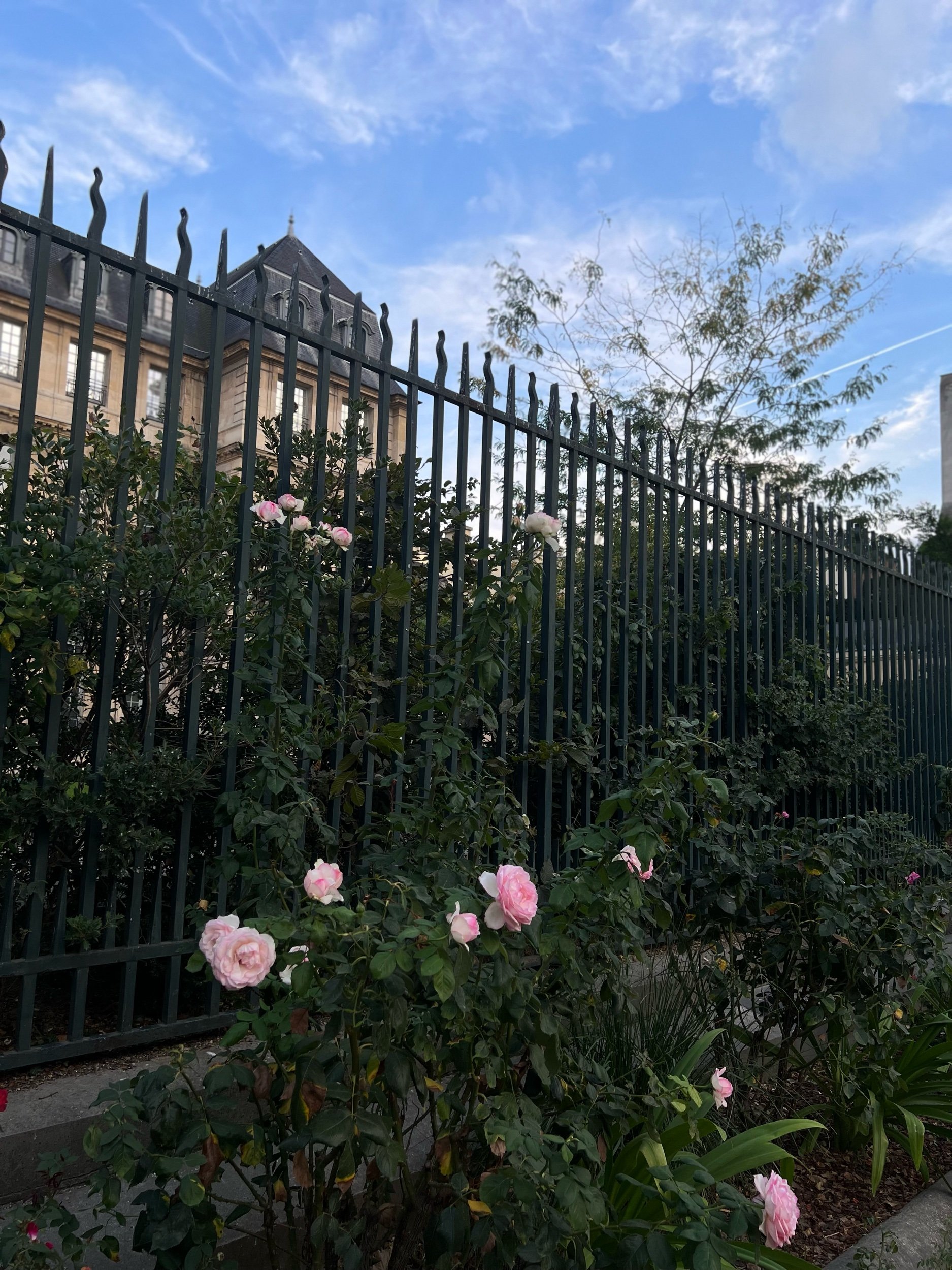 IMG_1852.jpeg
