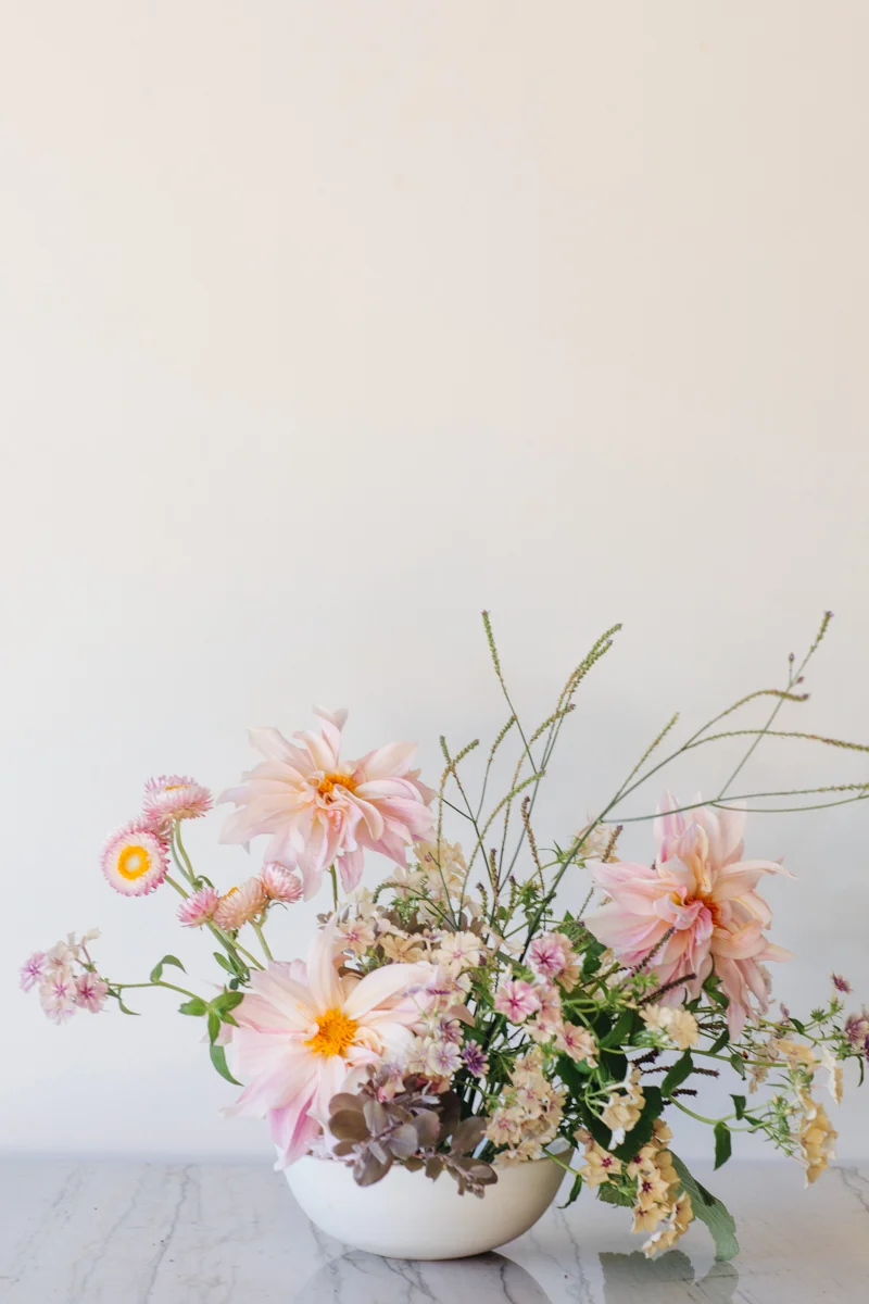 5H0A6325.jpg