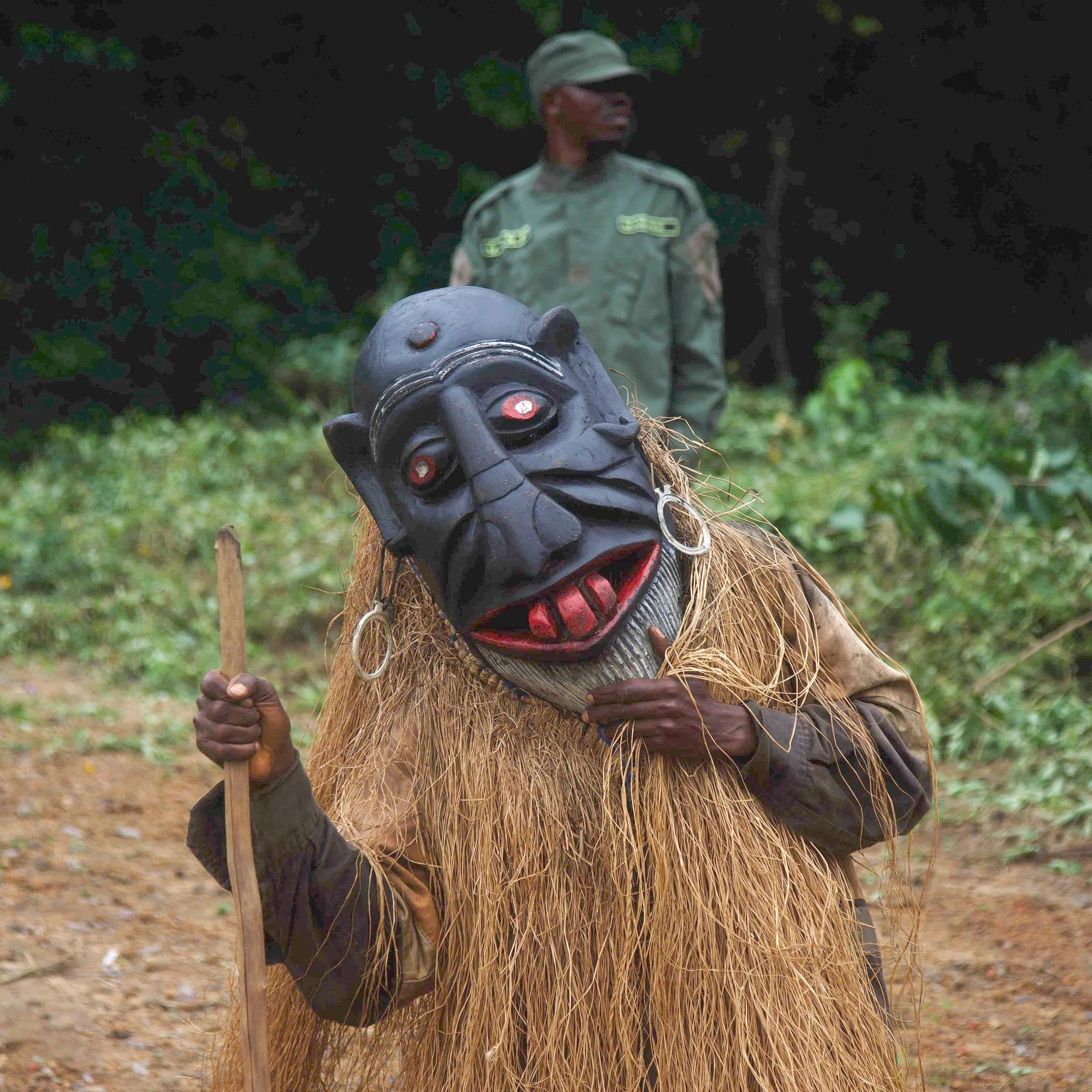 MaskedDevil_RyanWilkie_RSPB_01.jpg