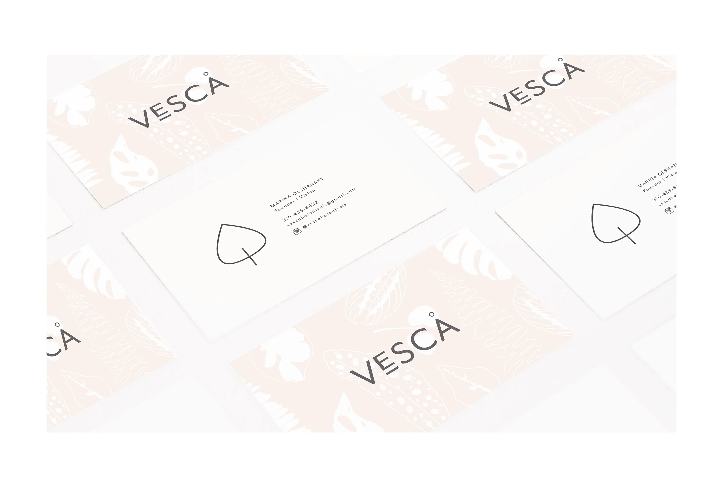  A print catalog was designed, in order to help people pick what kind of plants are best for their home. 