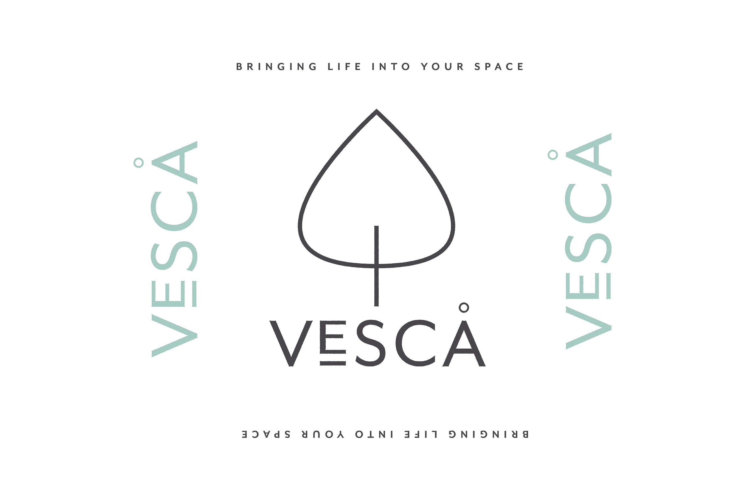  VESCA is a plant company that home delivers. Since the name is Russian for strawberries, I did their brand identity with a nod to Russian folk art.  I added in a small detailed line to the “E” to suggest a potted plant &amp; a ring above the “A” to 