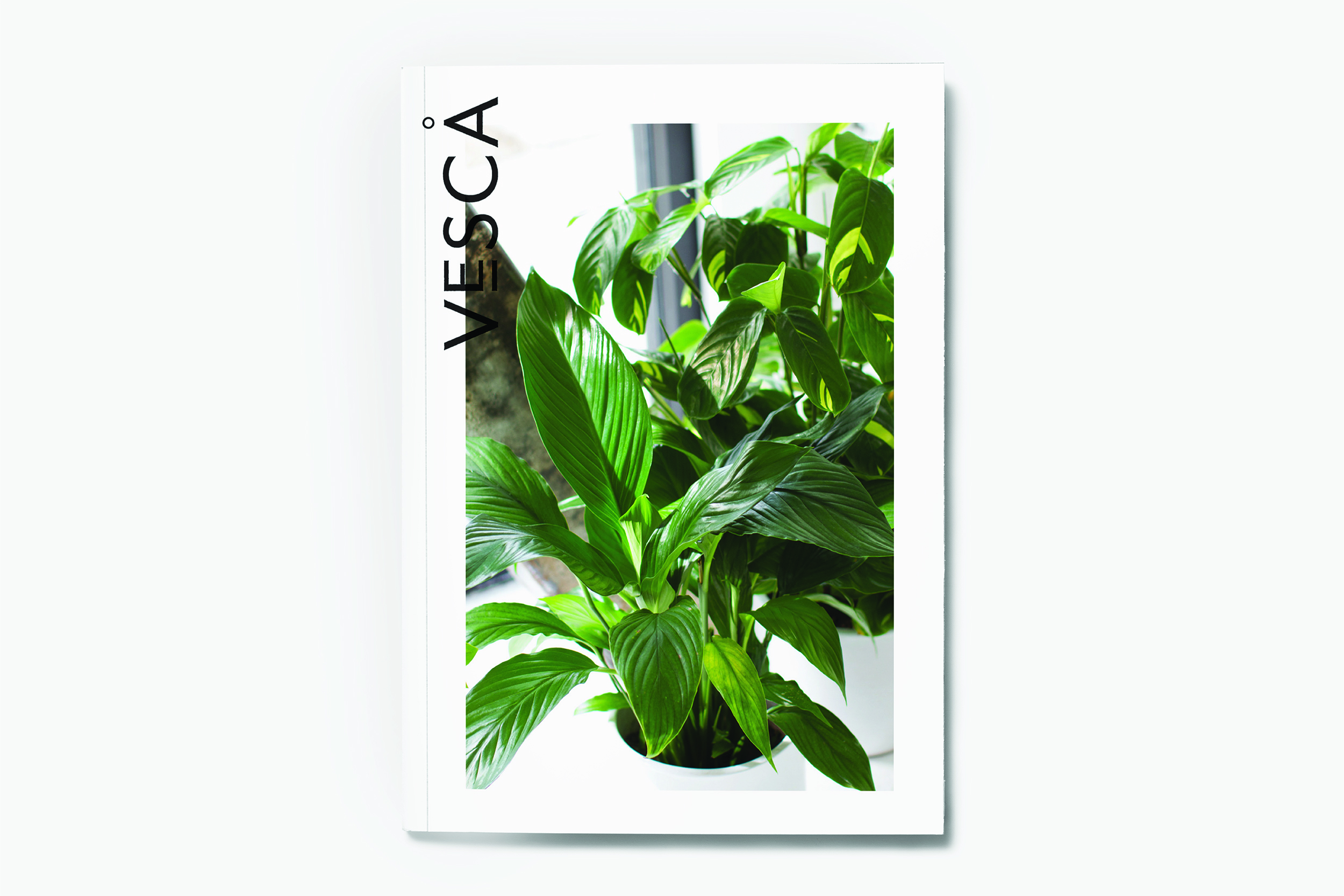 BRANDING PAGE_2500X1667_VESCA-08.jpg