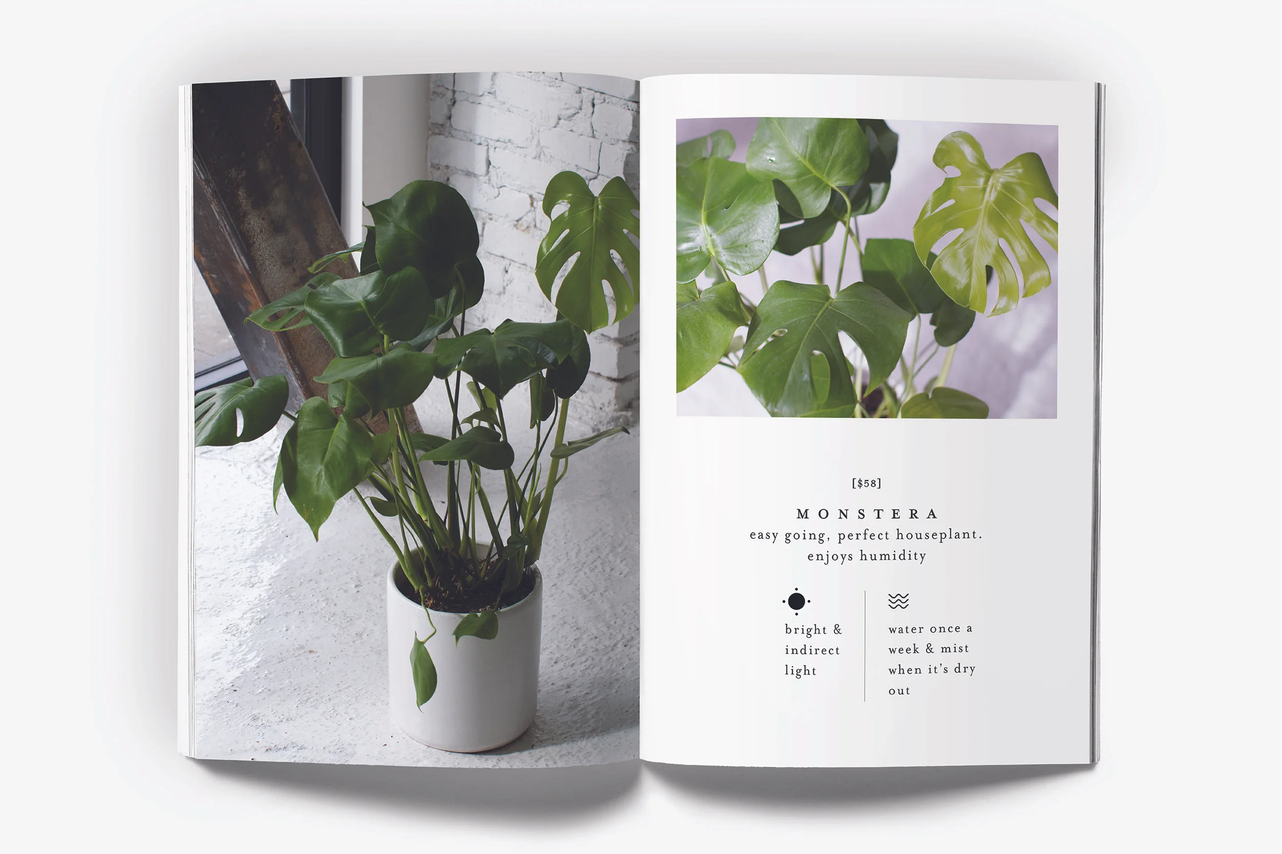 BRANDING PAGE_2500X1667_VESCA-09.jpg