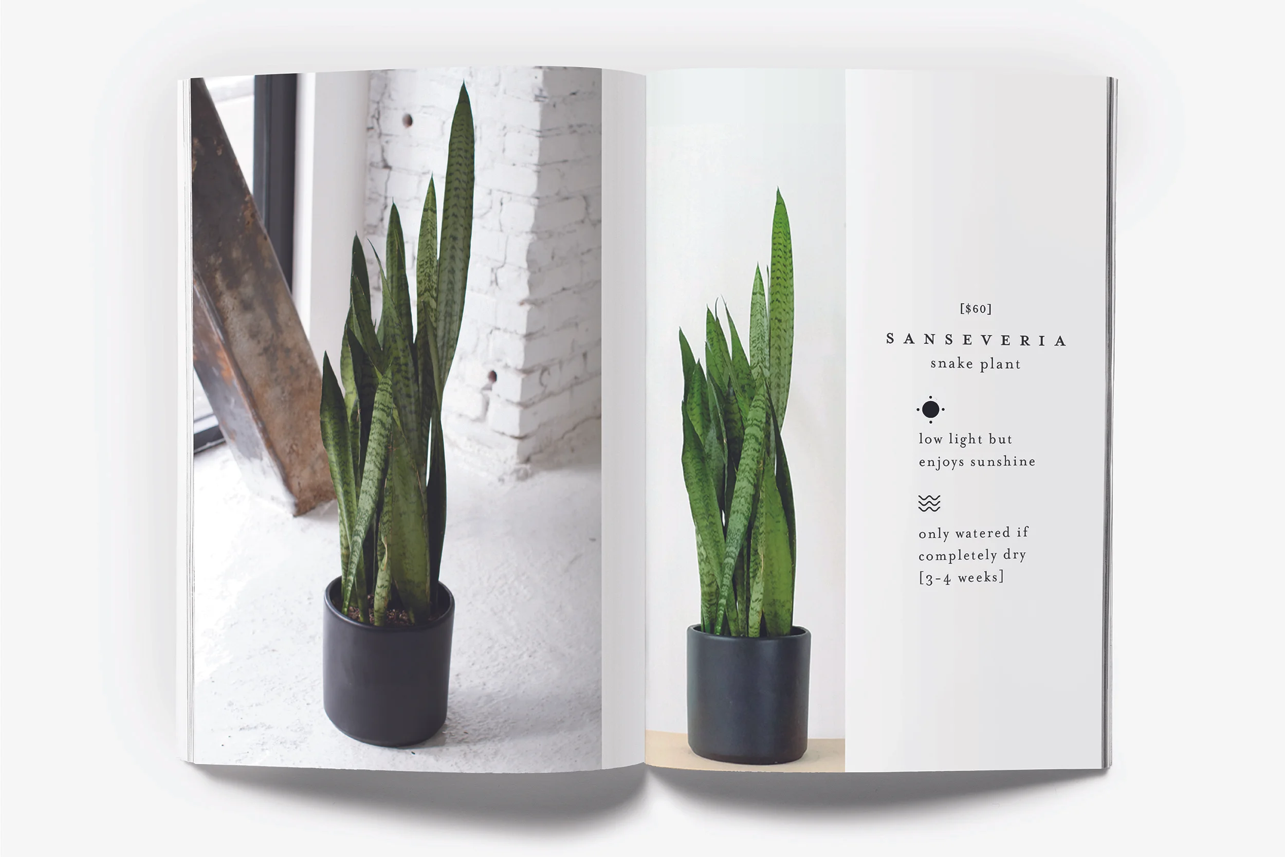  Designed tags for the plant’s care instructions. 