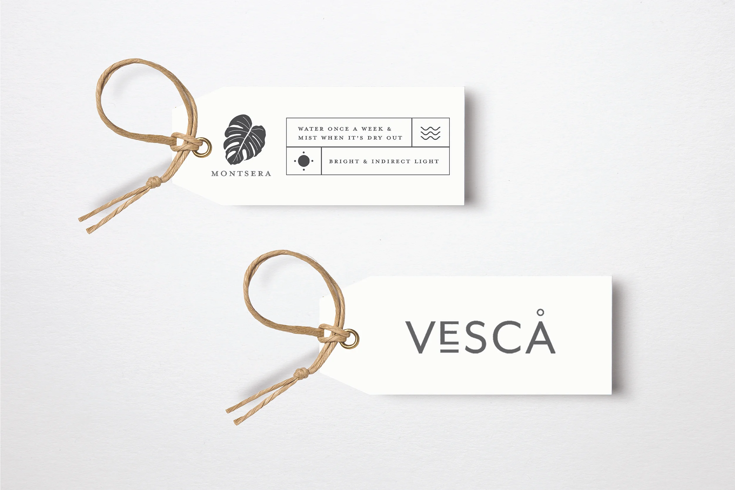 BRANDING PAGE_2500X1667_VESCA-12.jpg