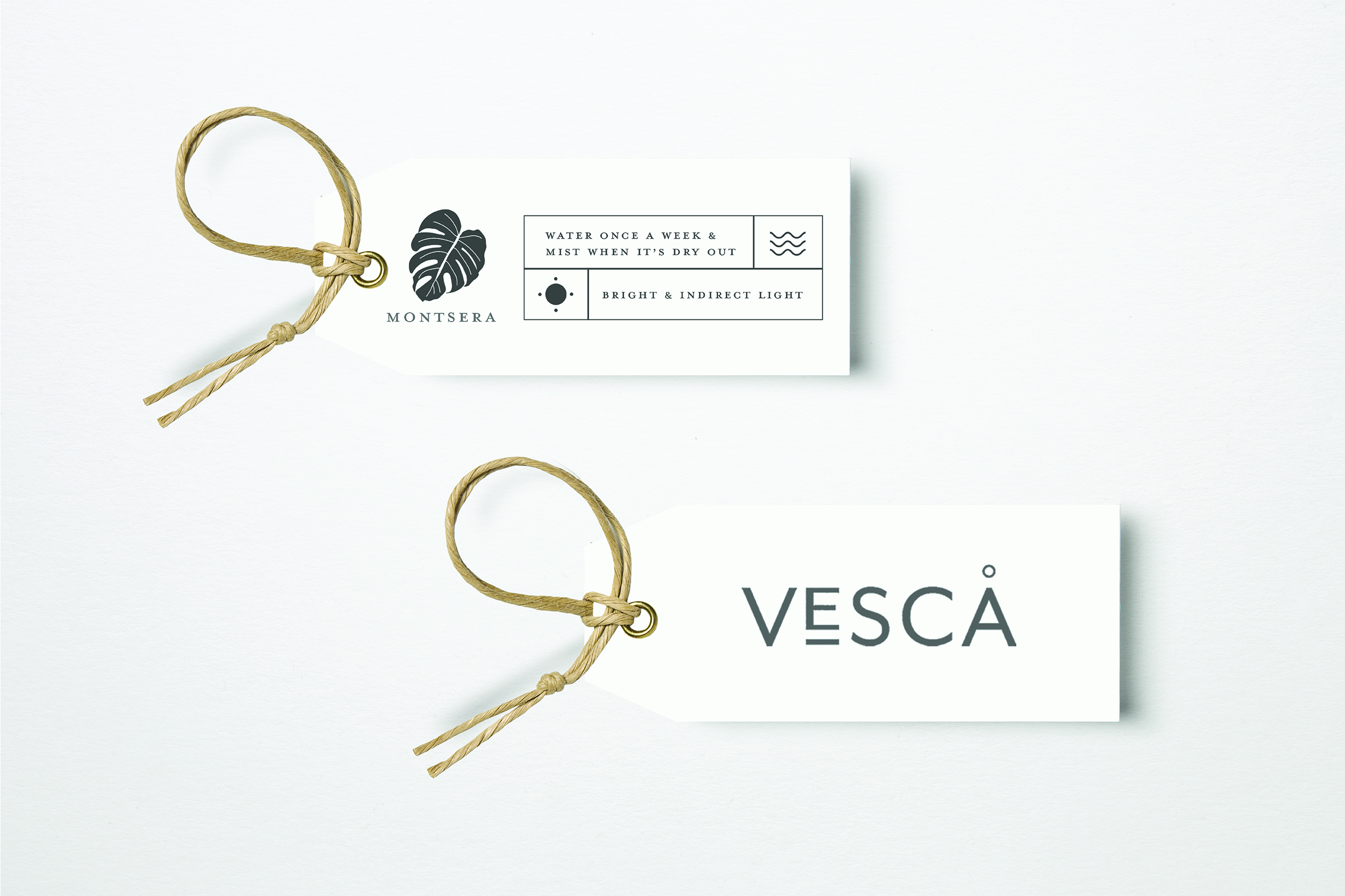 BRANDING PAGE_2500X1667_VESCA-12.jpg
